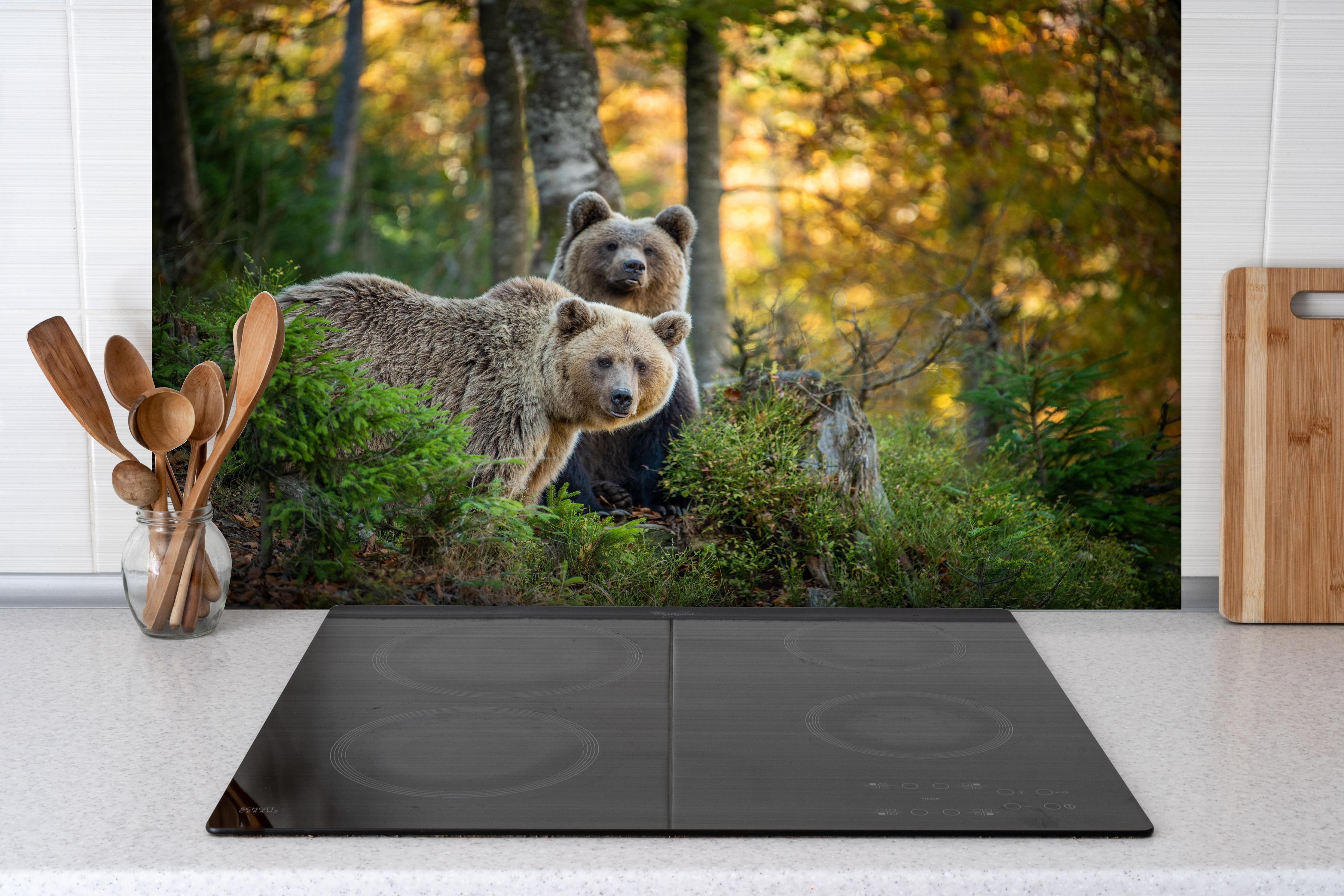 Spritzschutz - Braunbär Familie Herbstlaub Waldbild hinter einem Cerankochfeld zwischen Holz-Kochutensilien

