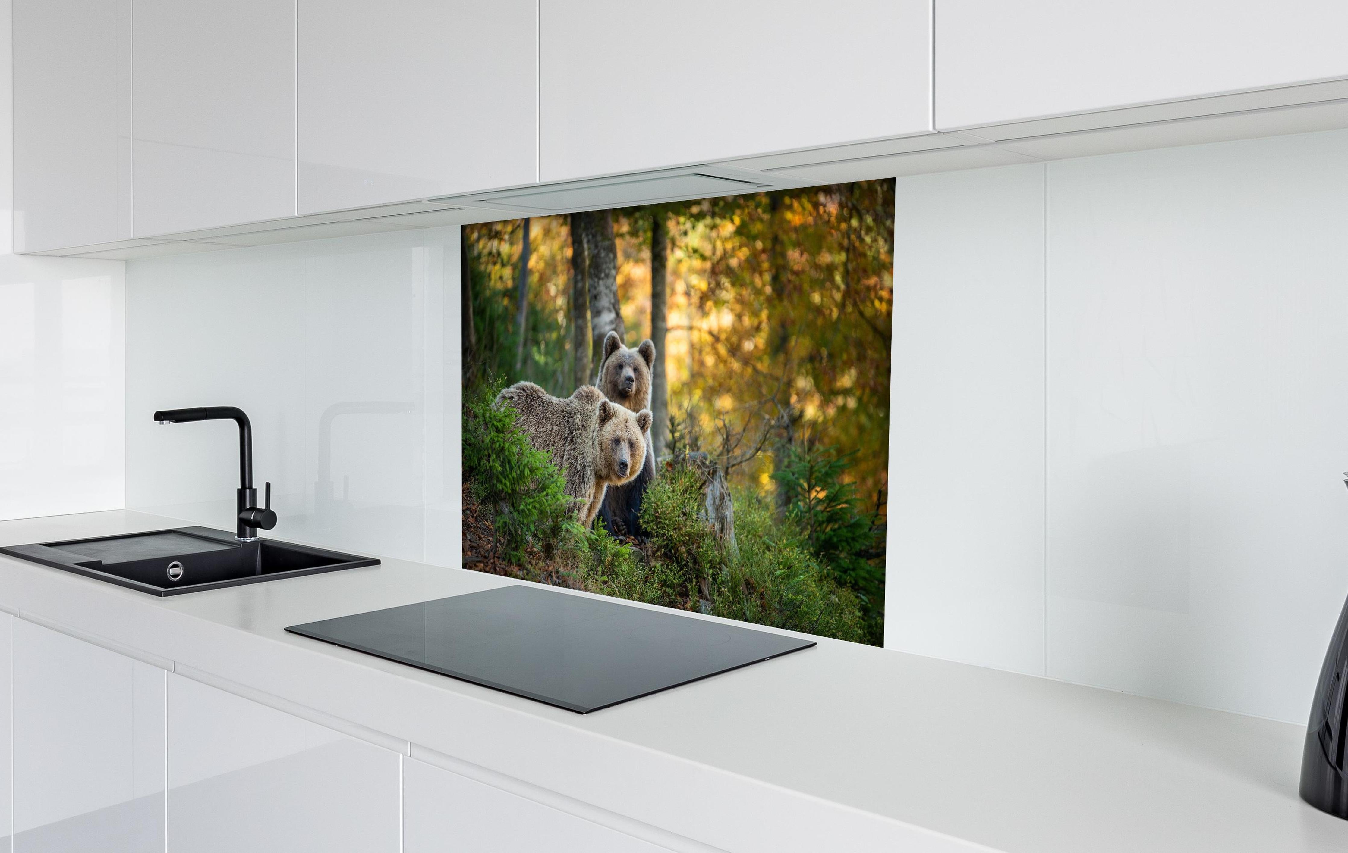 Spritzschutz - Braunbär Familie Herbstlaub Waldbild hinter einem Cerankochfeld zwischen Holz-Kochutensilien
