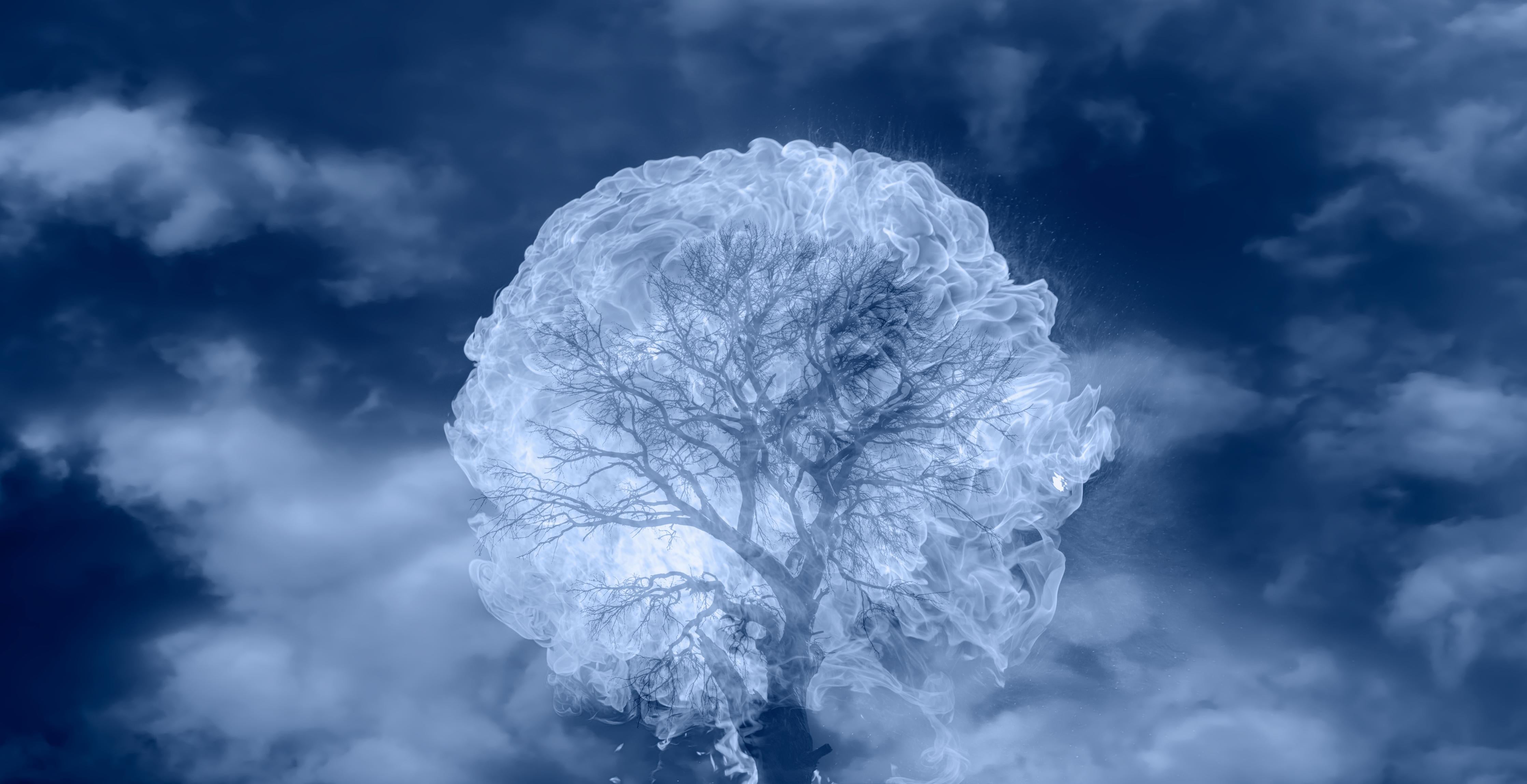 Spritzschutz-Brennender Baum Blitz Himmel Dramatik