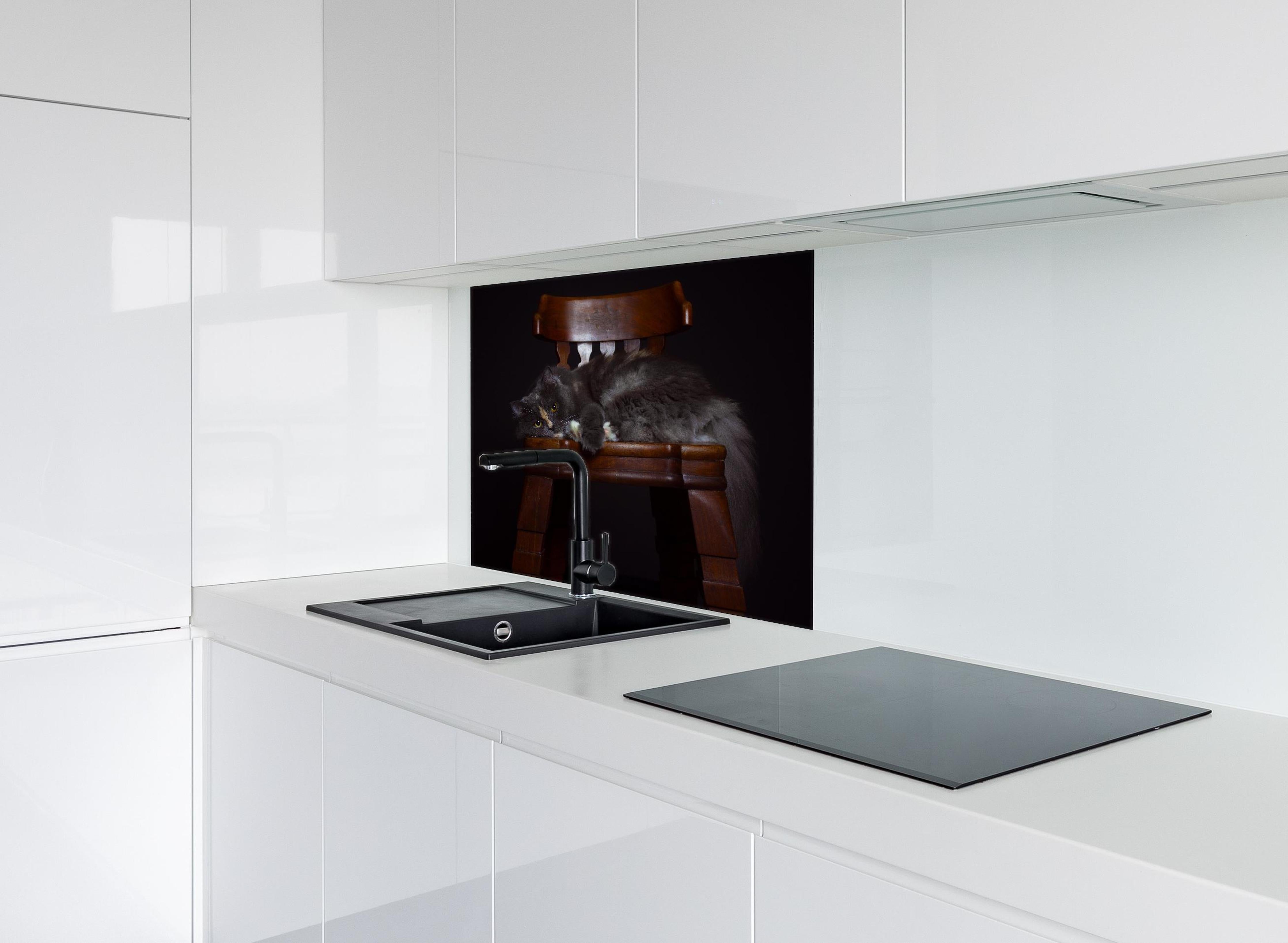 Spritzschutz - Britisch Langhaarkatze auf Holzstuhl hinter einem Cerankochfeld zwischen Holz-Kochutensilien
