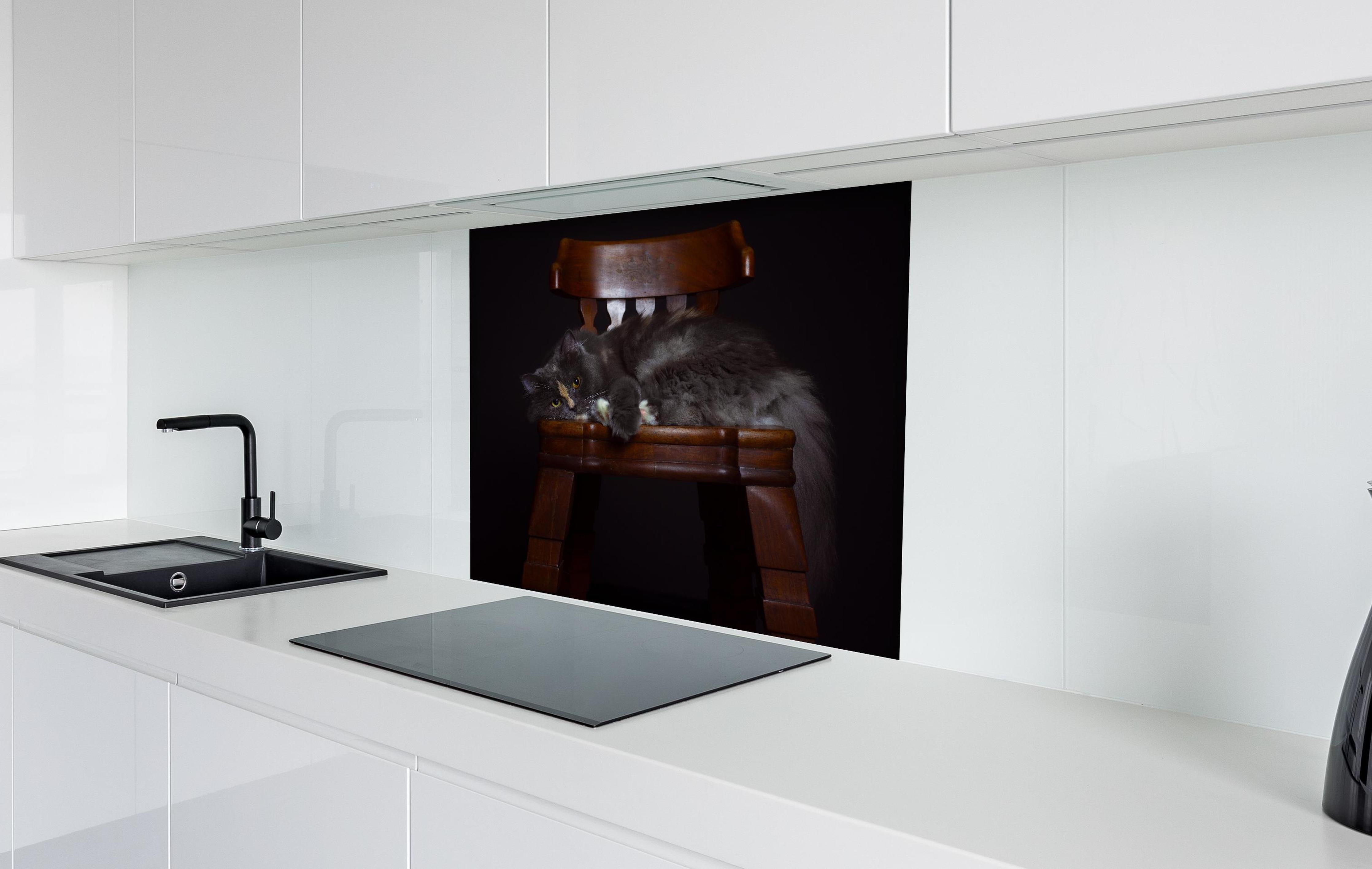 Spritzschutz - Britisch Langhaarkatze auf Holzstuhl hinter einem Cerankochfeld zwischen Holz-Kochutensilien
