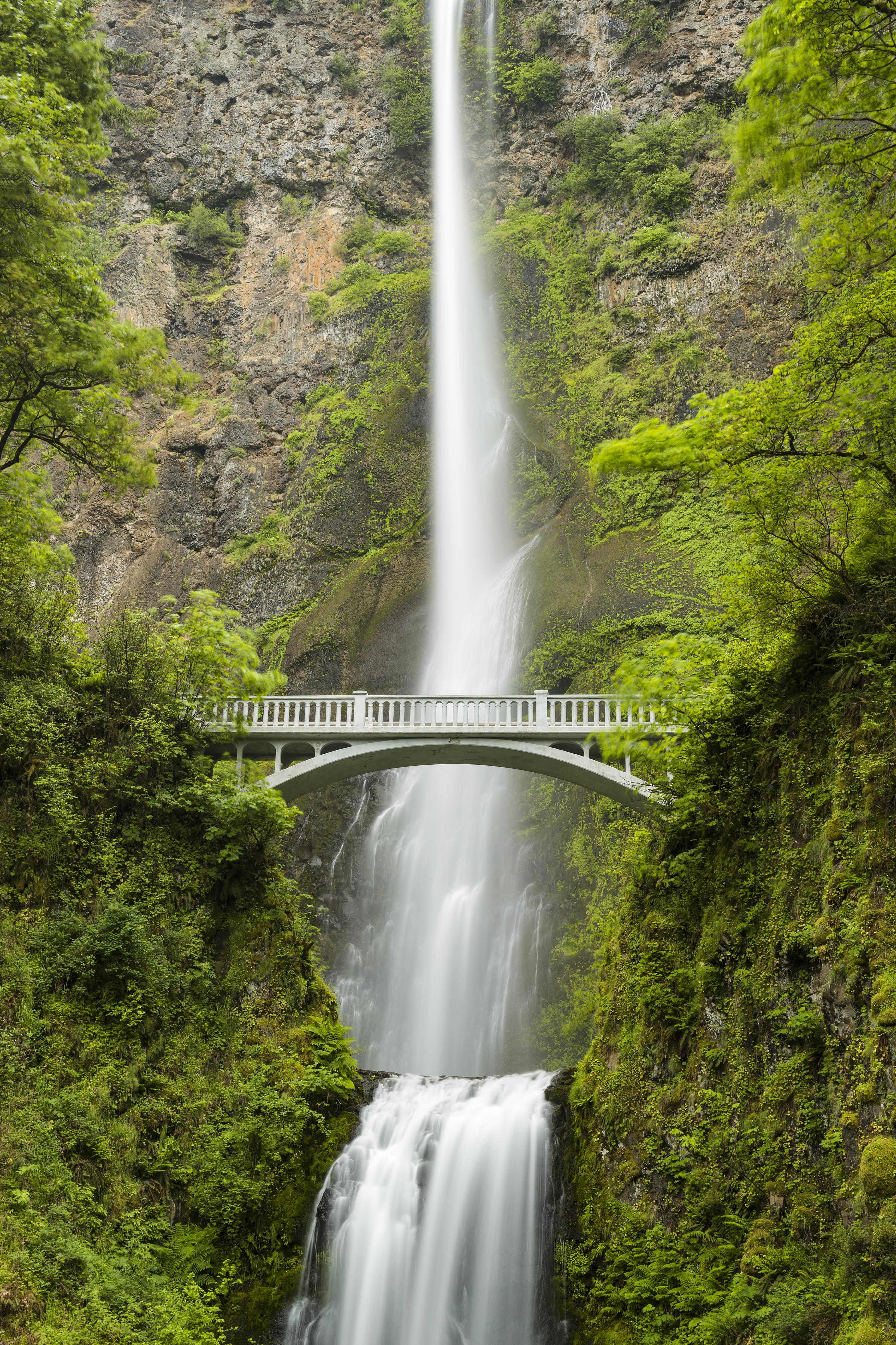 Spritzschutz-Brücke vor grünem Wasserfall Natur
