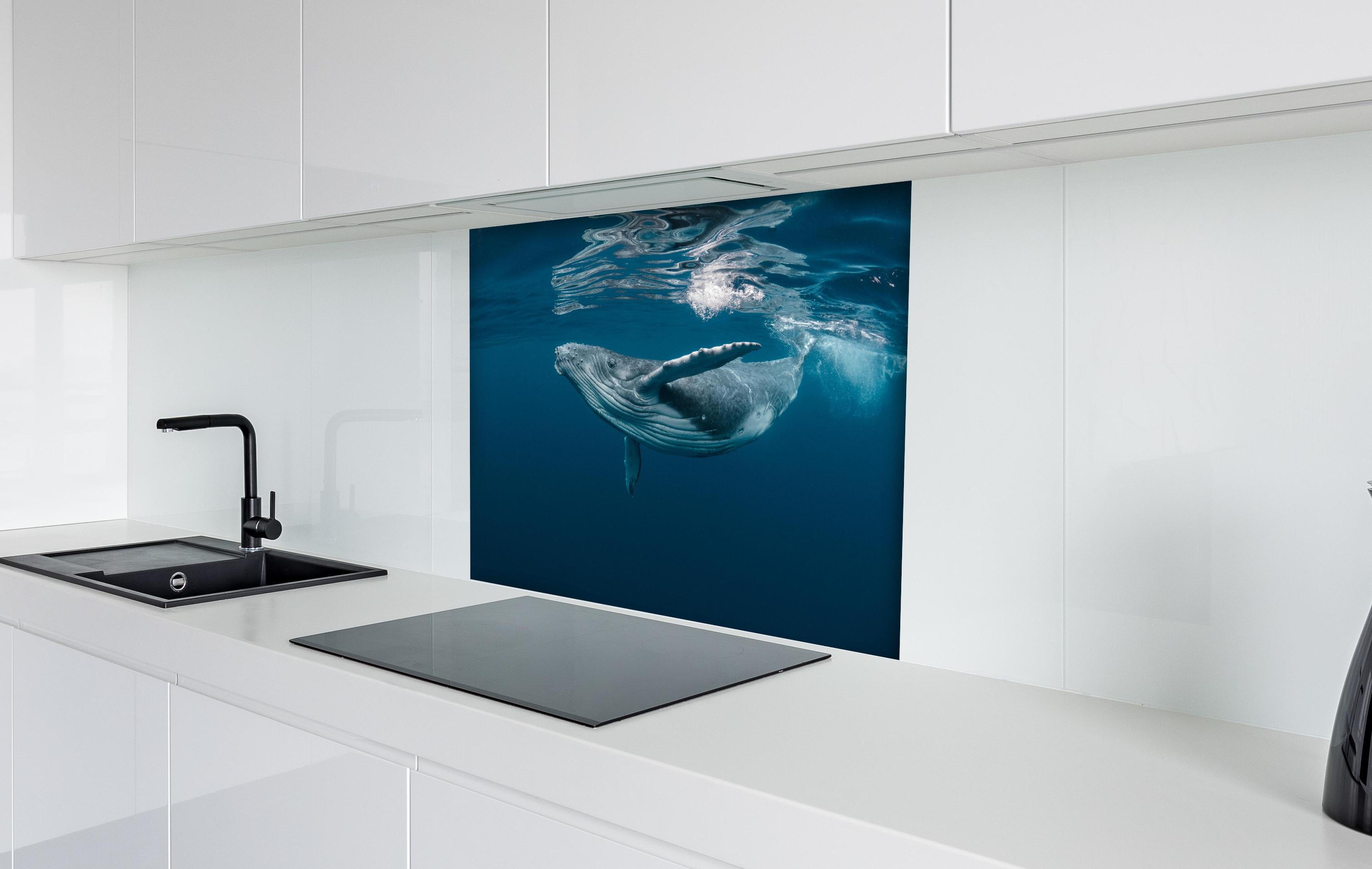 Spritzschutz - Buckelbaby - nähe Wasseroberfläche hinter einem Cerankochfeld zwischen Holz-Kochutensilien
