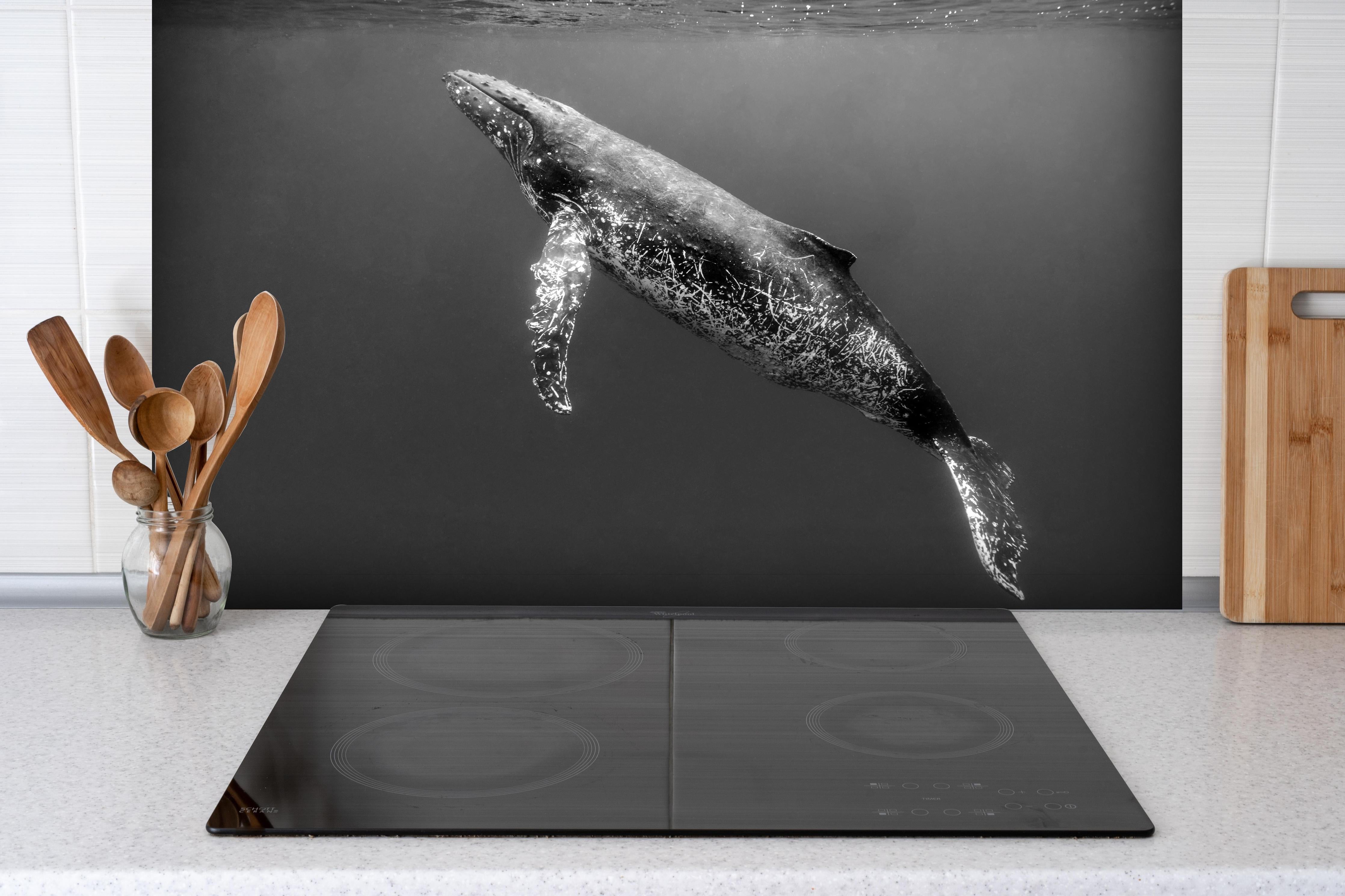 Spritzschutz - Buckelwal hinter einem Cerankochfeld zwischen Holz-Kochutensilien
