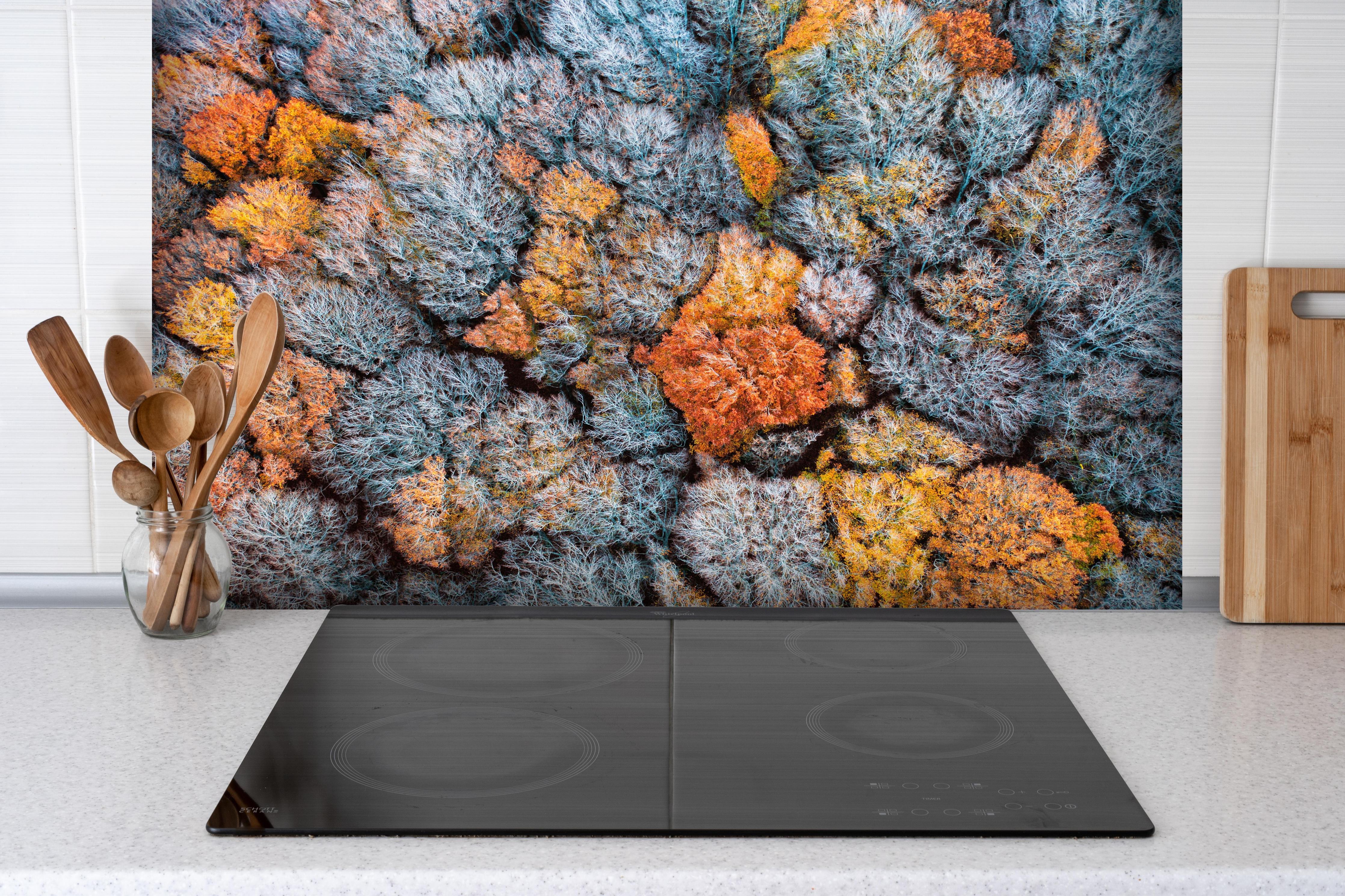 Spritzschutz - Bunte Herbstbeechen von oben hinter einem Cerankochfeld zwischen Holz-Kochutensilien
