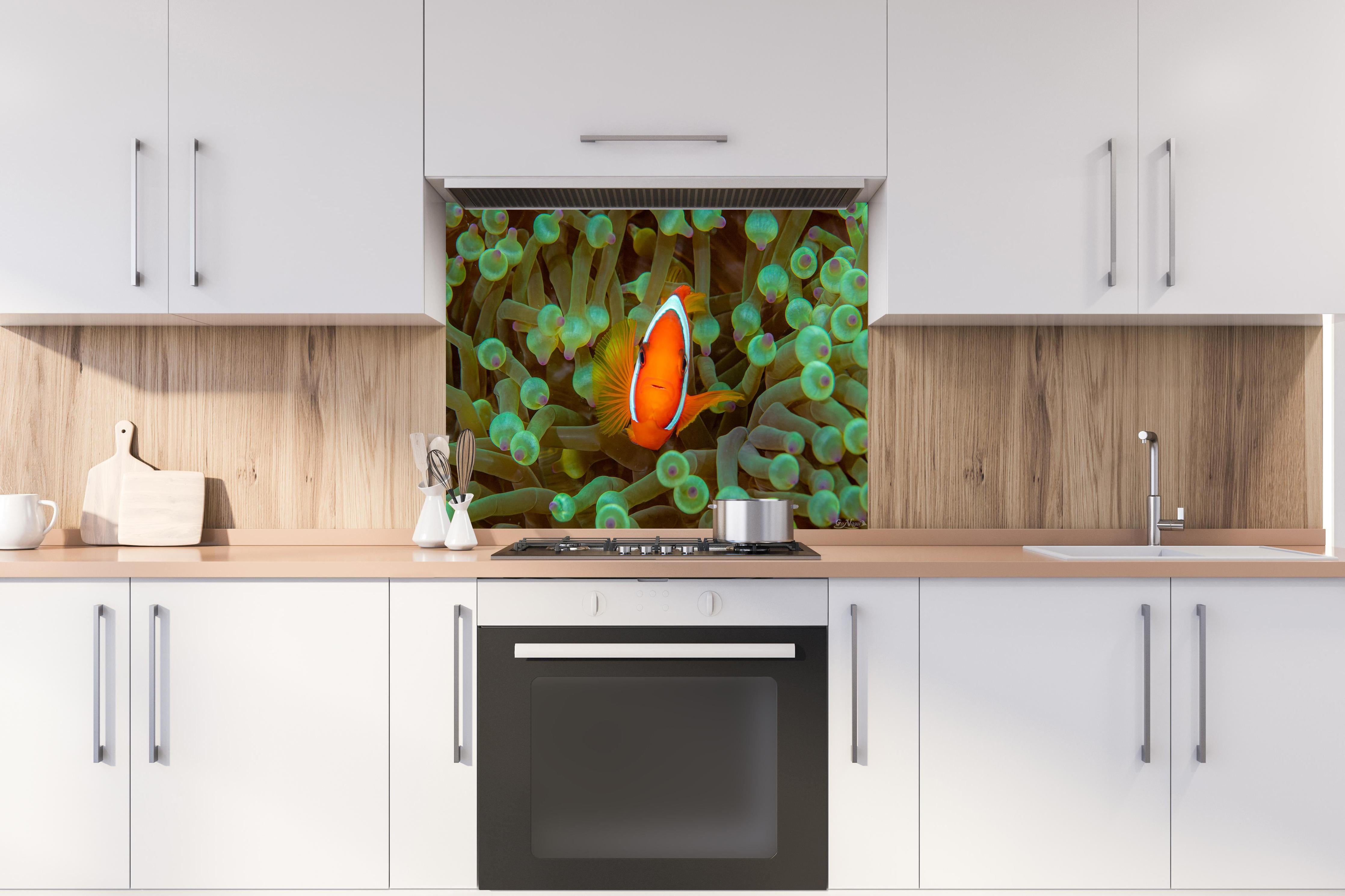 Spritzschutz - Clownfisch - Unterwasserwelt hinter einem Cerankochfeld zwischen Holz-Kochutensilien
