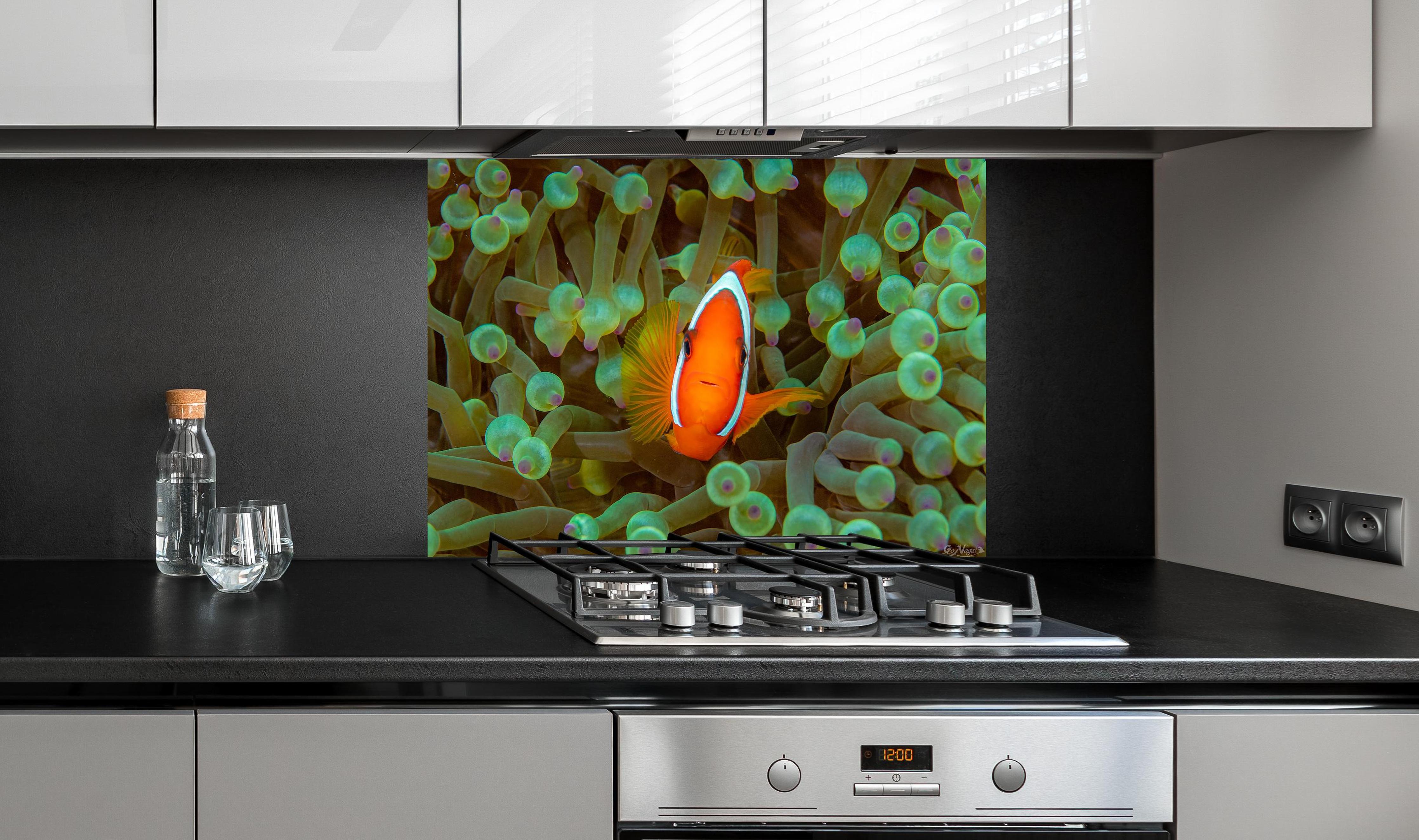 Spritzschutz - Clownfisch - Unterwasserwelt hinter einem Cerankochfeld zwischen Holz-Kochutensilien
