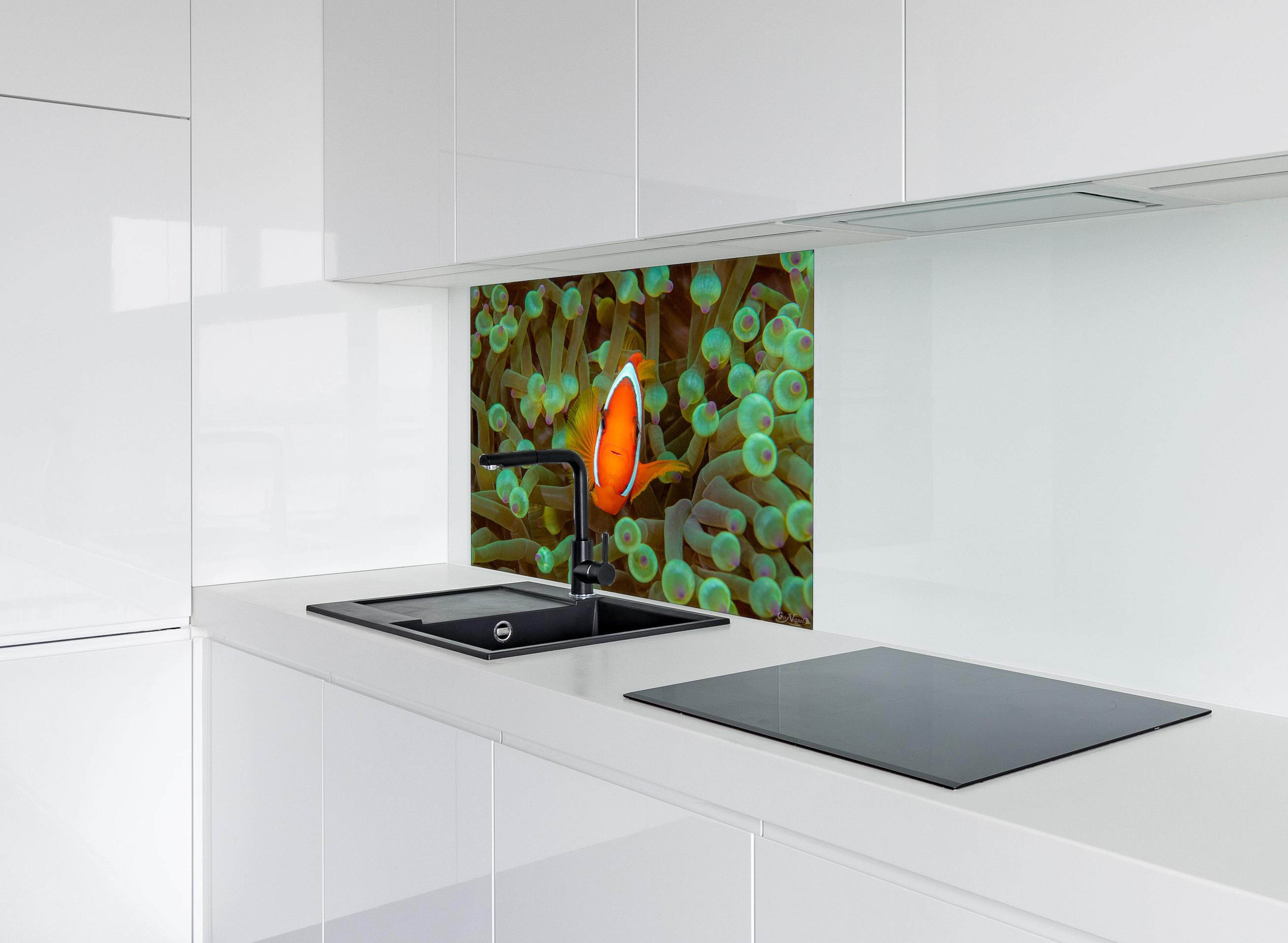 Spritzschutz - Clownfisch - Unterwasserwelt hinter einem Cerankochfeld zwischen Holz-Kochutensilien
