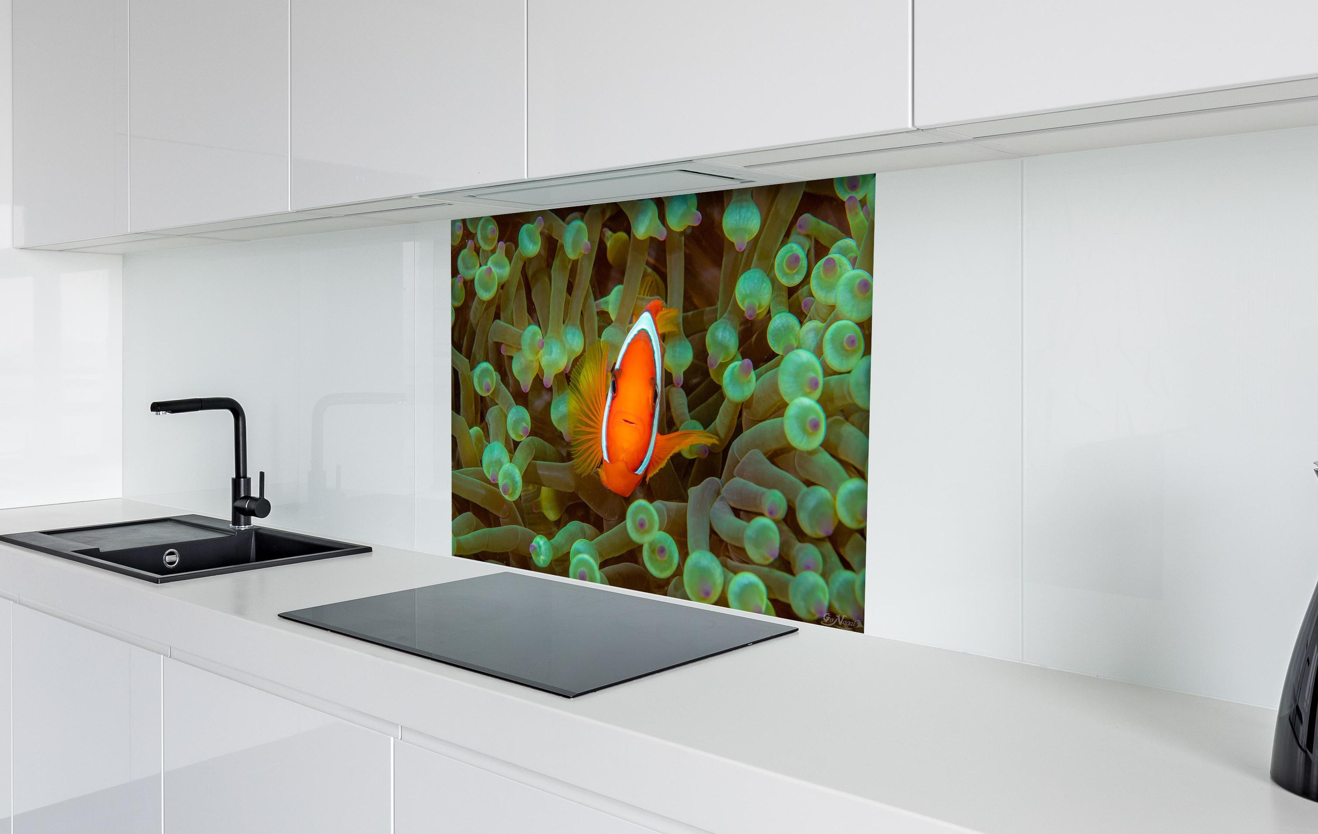 Spritzschutz - Clownfisch - Unterwasserwelt hinter einem Cerankochfeld zwischen Holz-Kochutensilien
