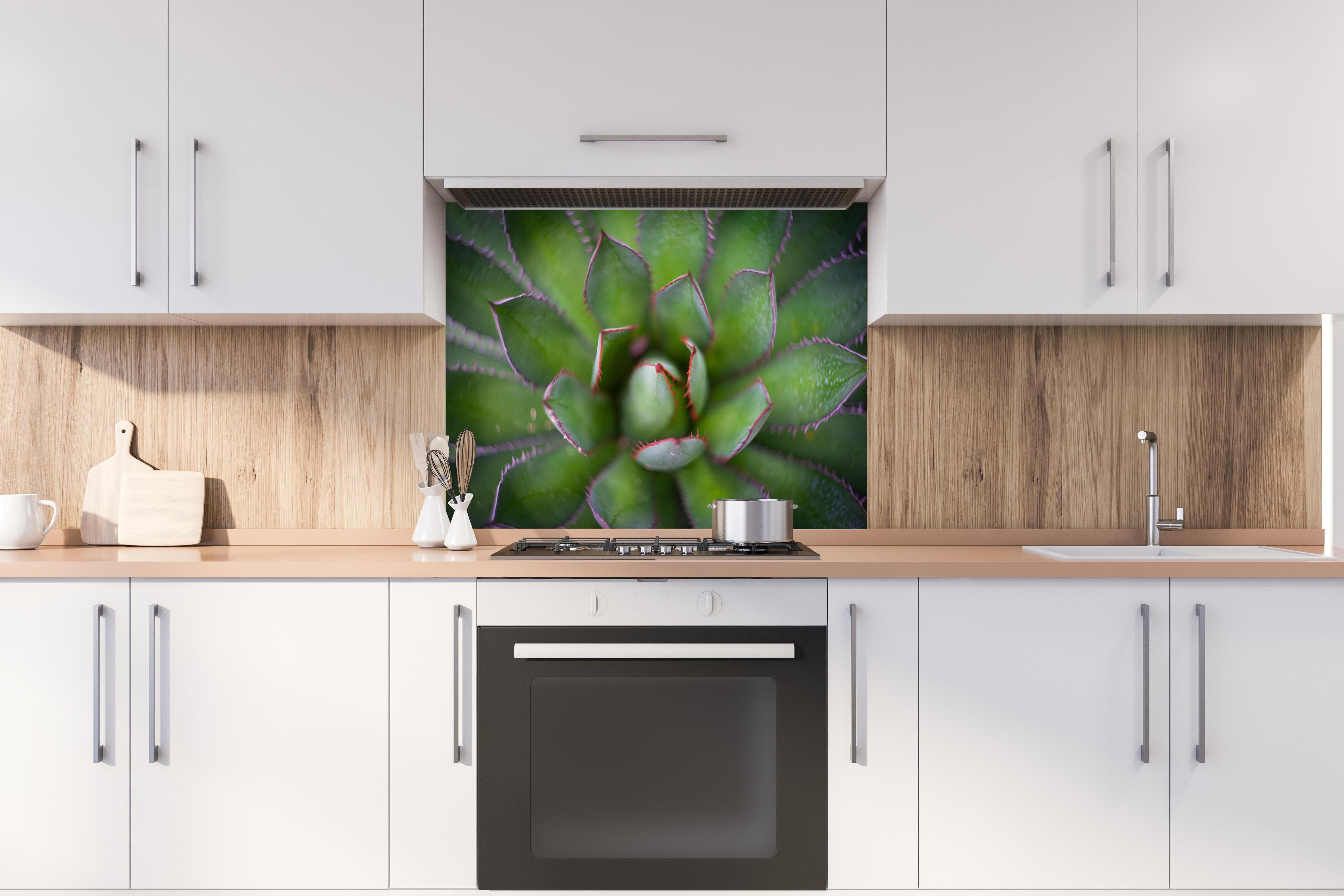 Spritzschutz - Detailaufnahme Agave ghiesbreghtii Kunstbild hinter einem Cerankochfeld zwischen Holz-Kochutensilien
