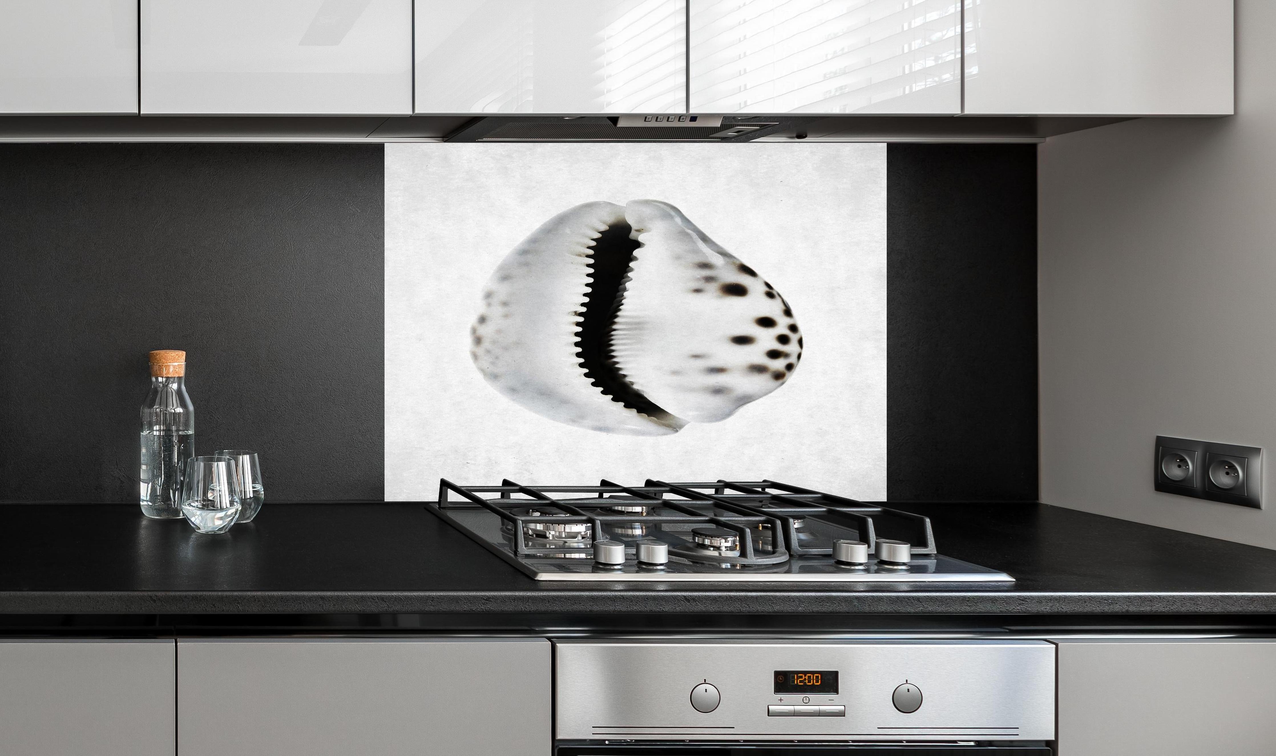 Spritzschutz - Detailbild Weiße Schnecke mit Grau-Sprenkeln hinter einem Cerankochfeld zwischen Holz-Kochutensilien
