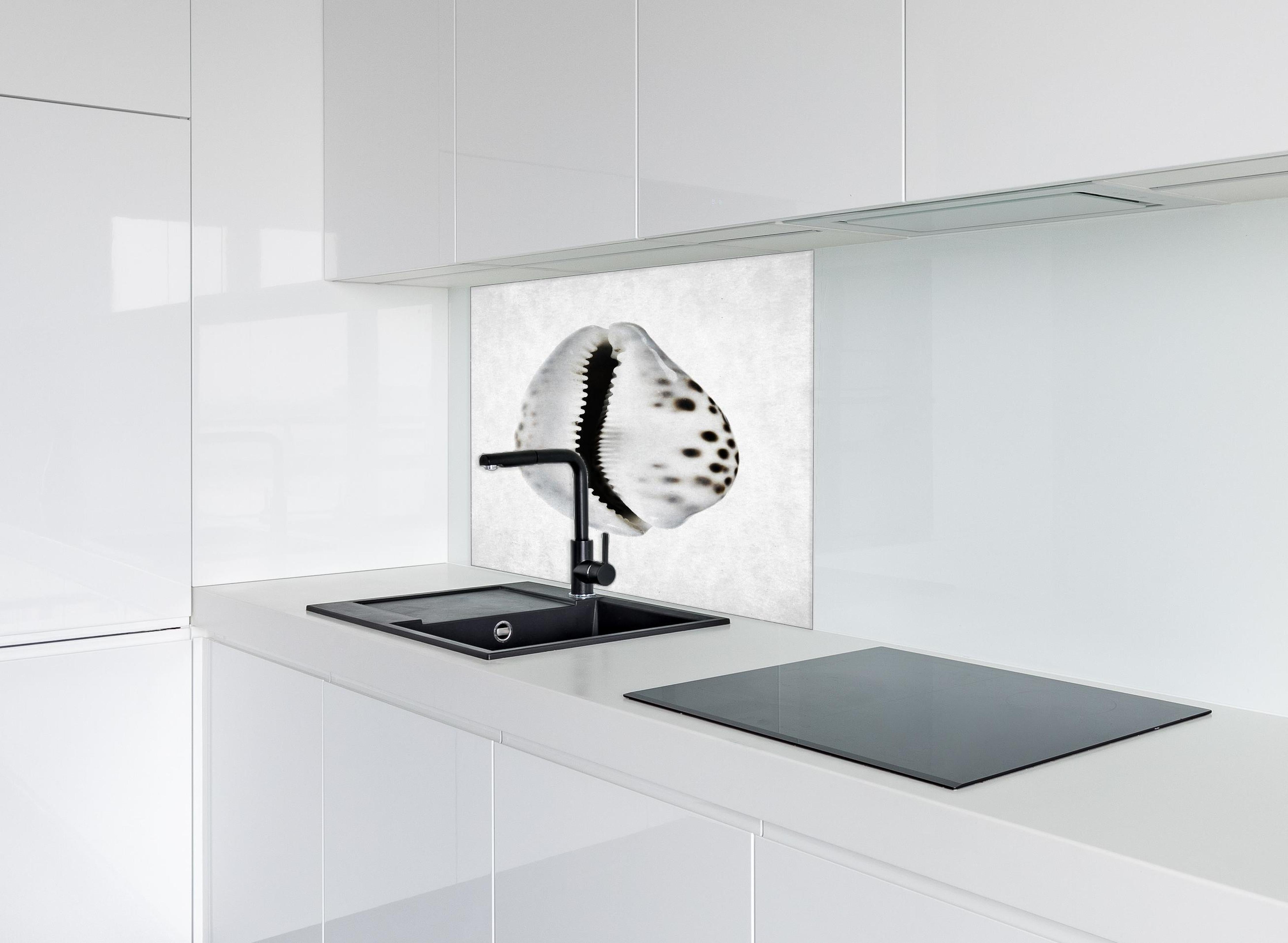 Spritzschutz - Detailbild Weiße Schnecke mit Grau-Sprenkeln hinter einem Cerankochfeld zwischen Holz-Kochutensilien
