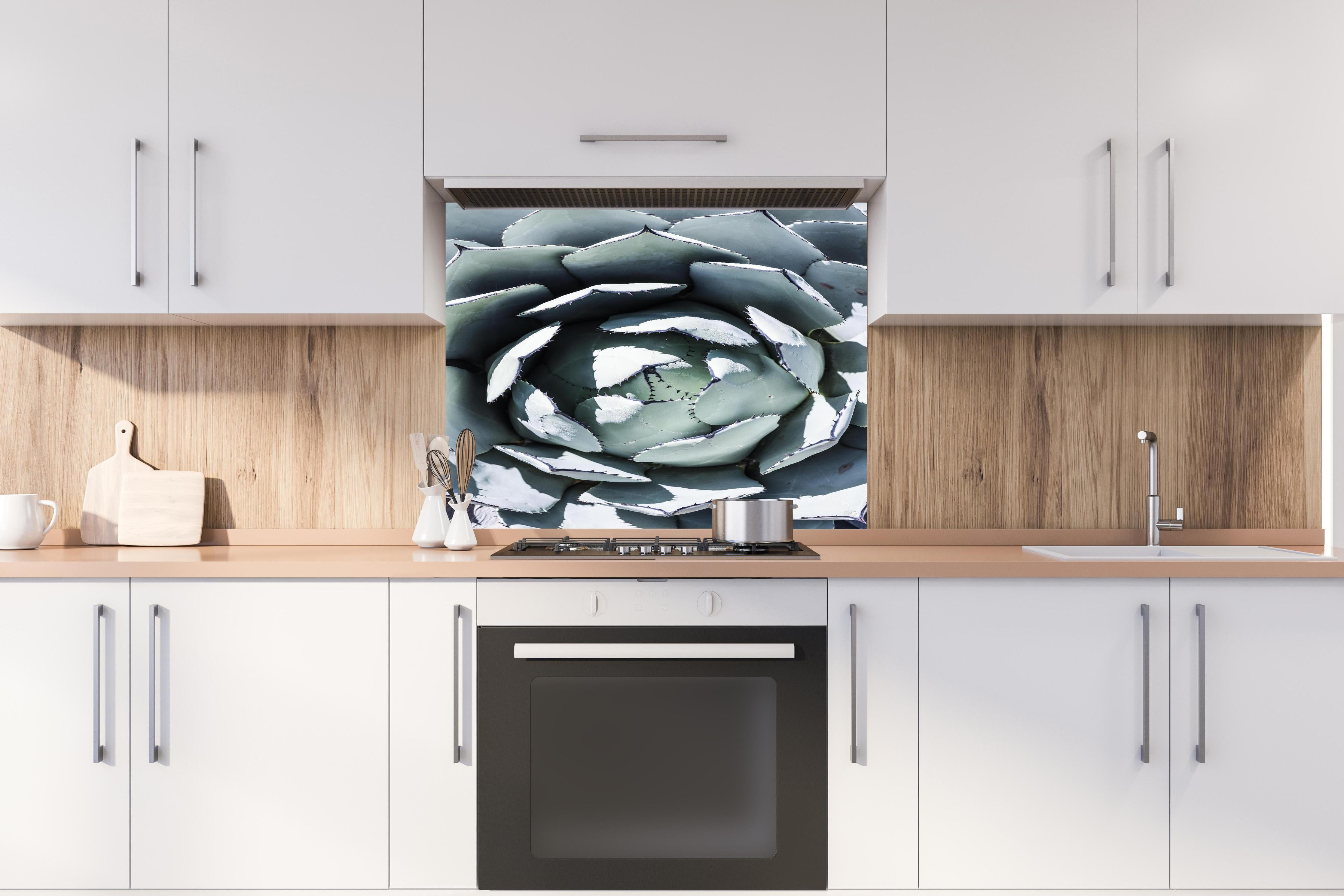 Spritzschutz - Detailreiche Blau-Weiße Agavenblätter Makroaufnahme hinter einem Cerankochfeld zwischen Holz-Kochutensilien
