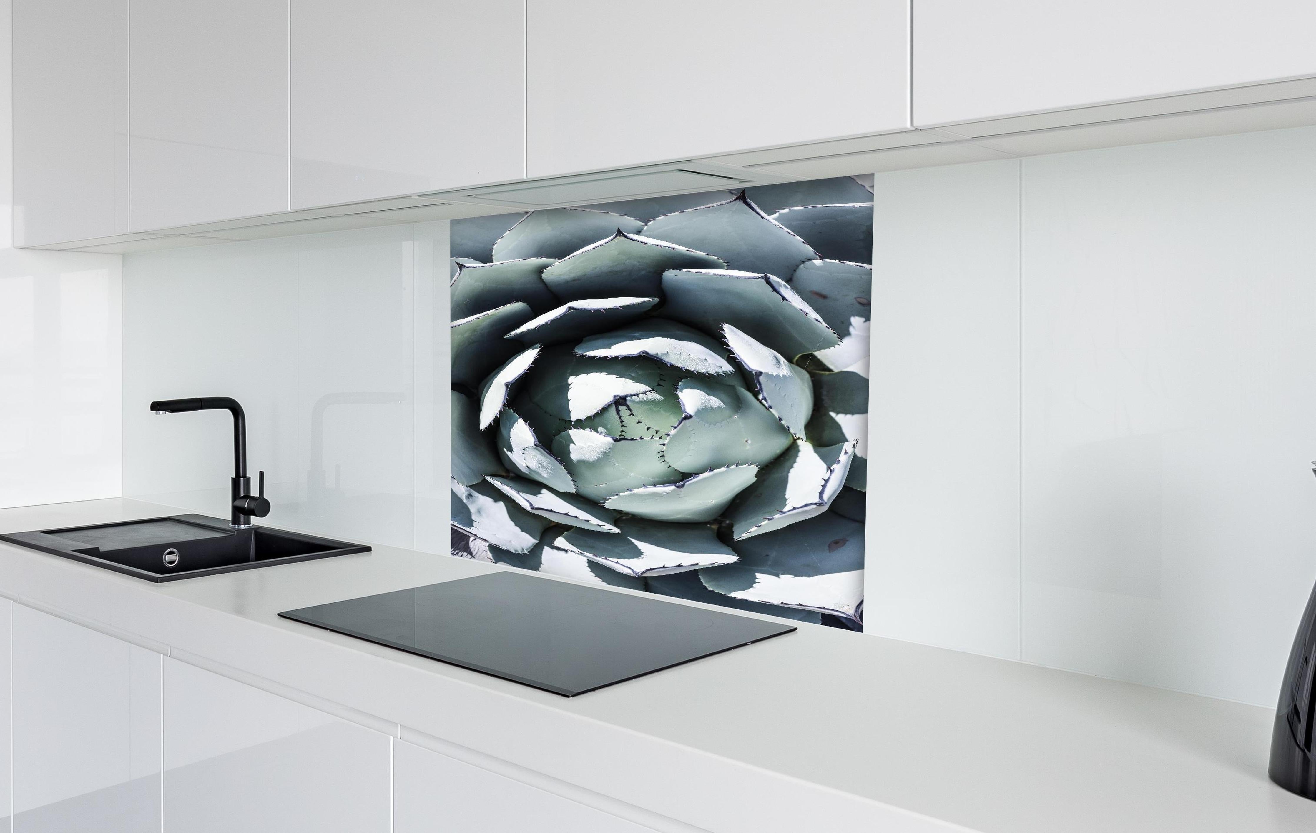 Spritzschutz - Detailreiche Blau-Weiße Agavenblätter Makroaufnahme hinter einem Cerankochfeld zwischen Holz-Kochutensilien
