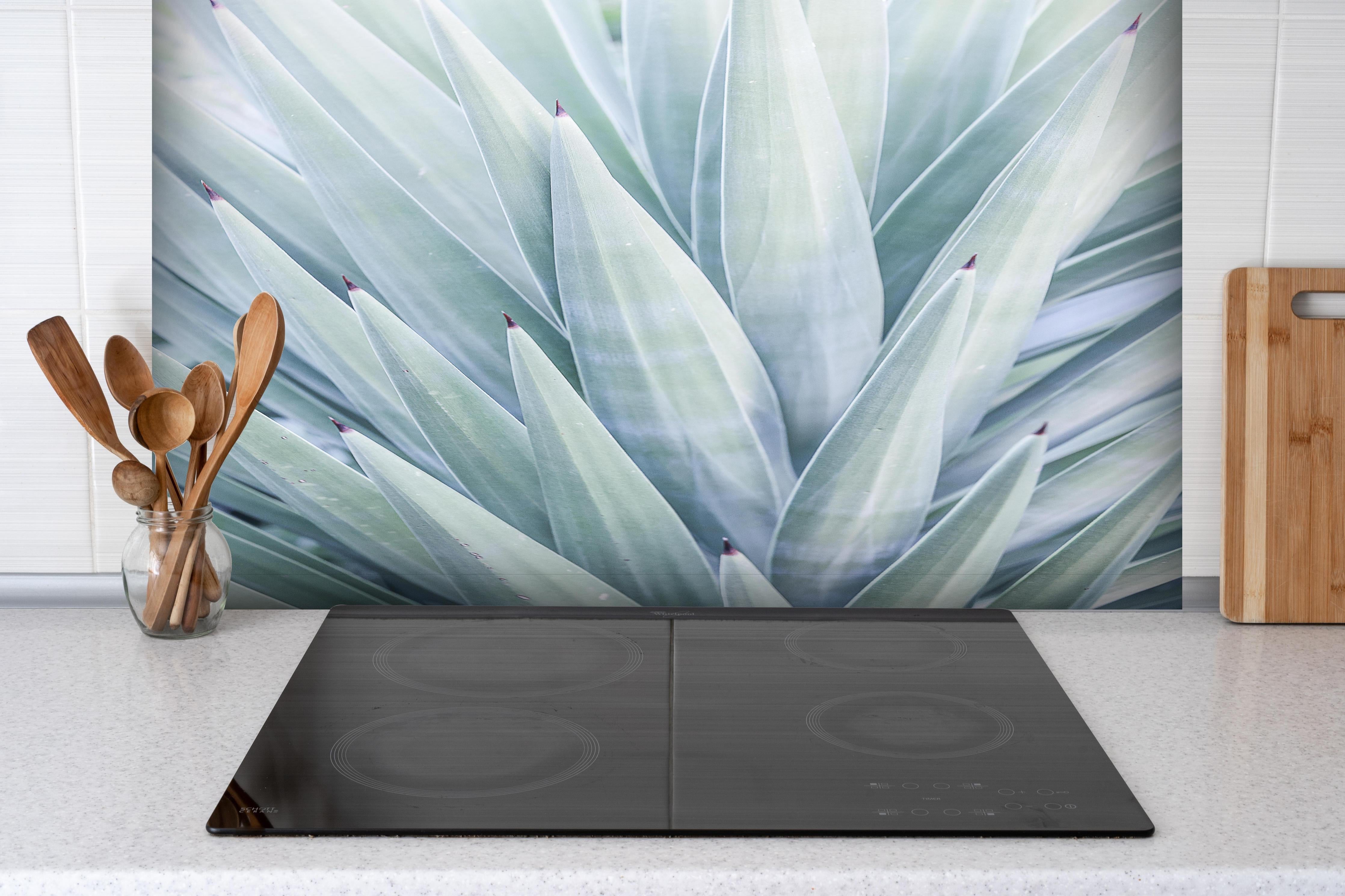 Spritzschutz - Detailreiche Grün-Töne Agaven Blatt-Textur hinter einem Cerankochfeld zwischen Holz-Kochutensilien
