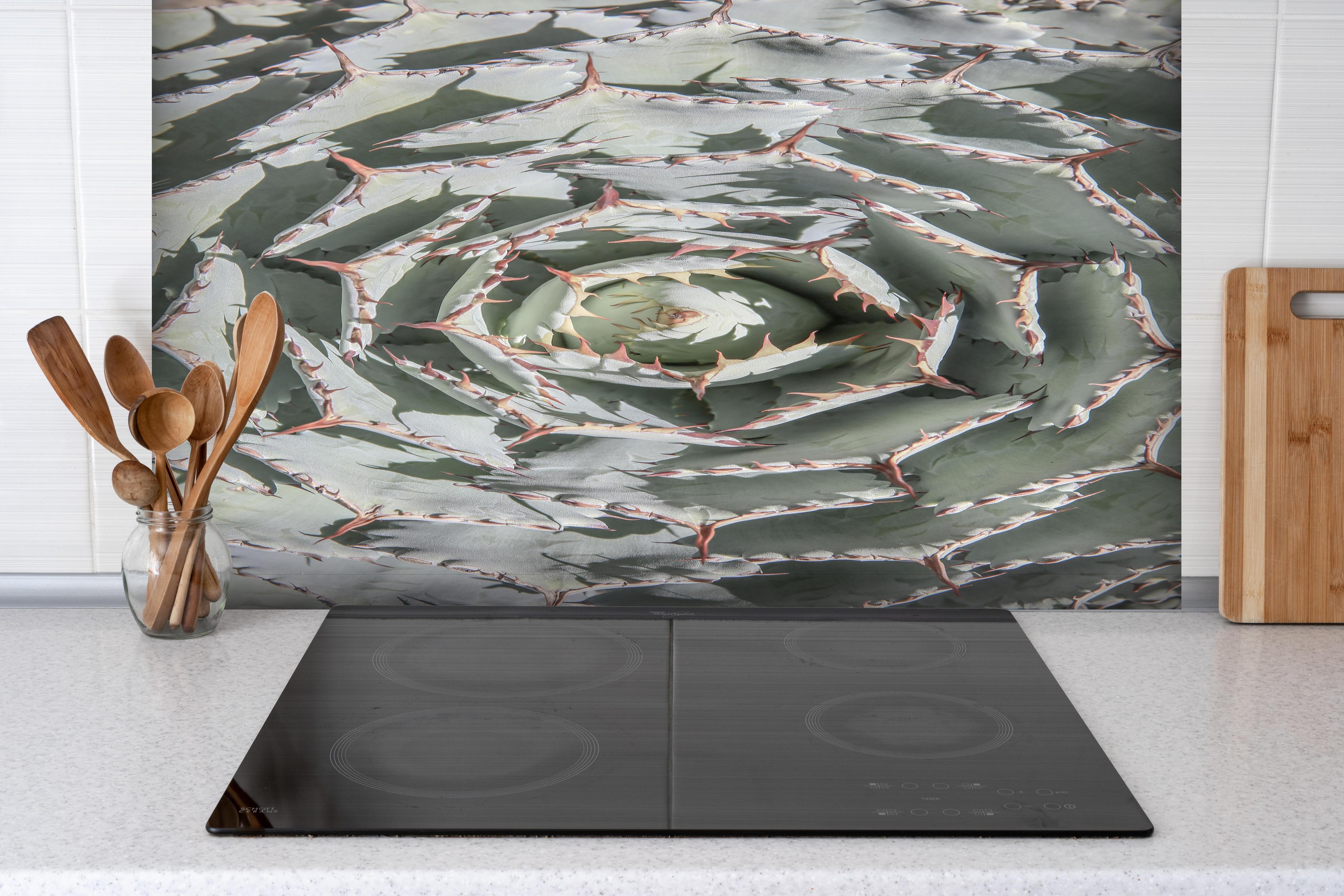 Spritzschutz - Detailreiche Grüne Agaven-Pflanze von oben hinter einem Cerankochfeld zwischen Holz-Kochutensilien
