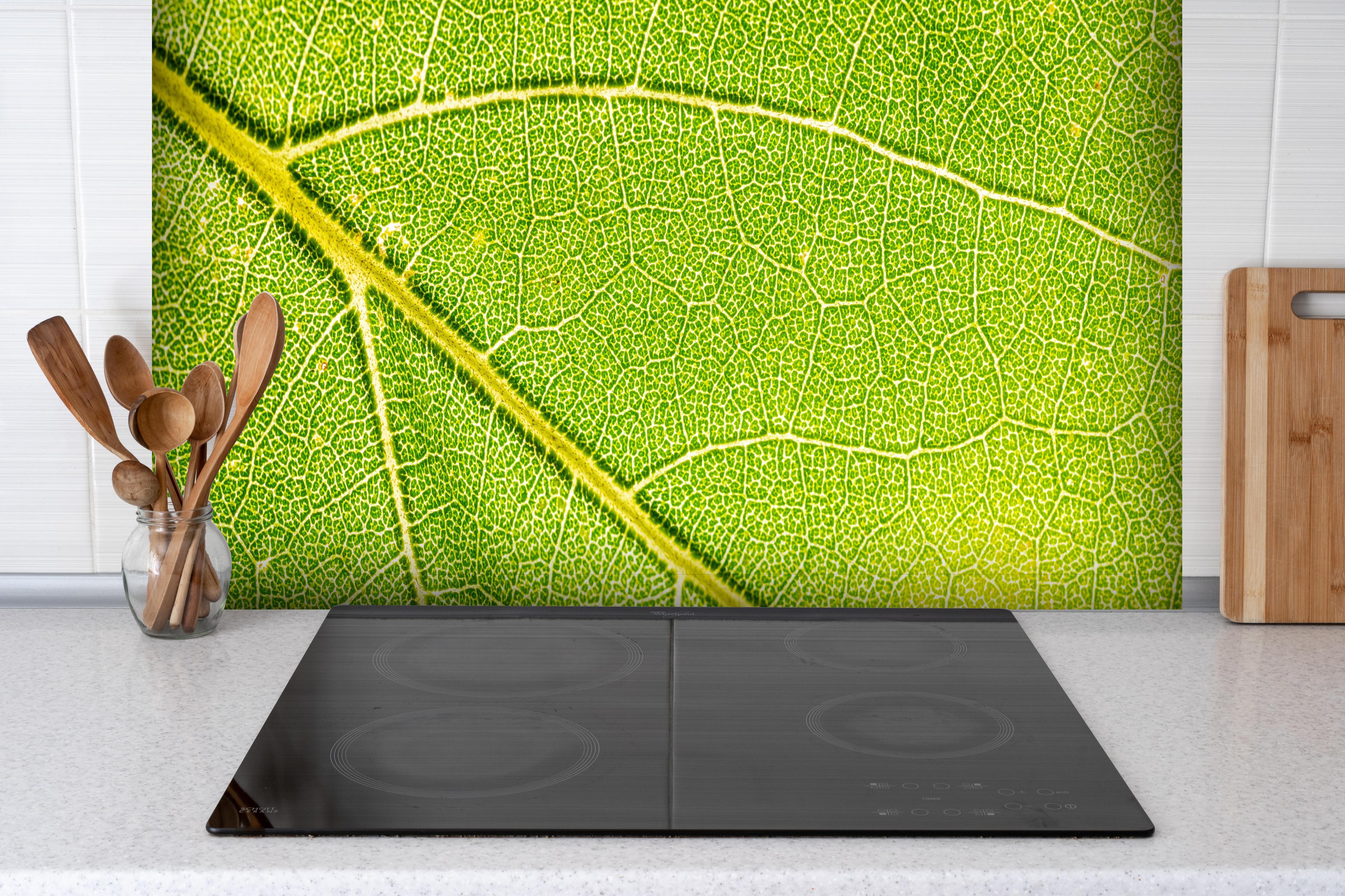 Spritzschutz - Detailreiche Makroaufnahme einer Blattstruktur hinter einem Cerankochfeld zwischen Holz-Kochutensilien
