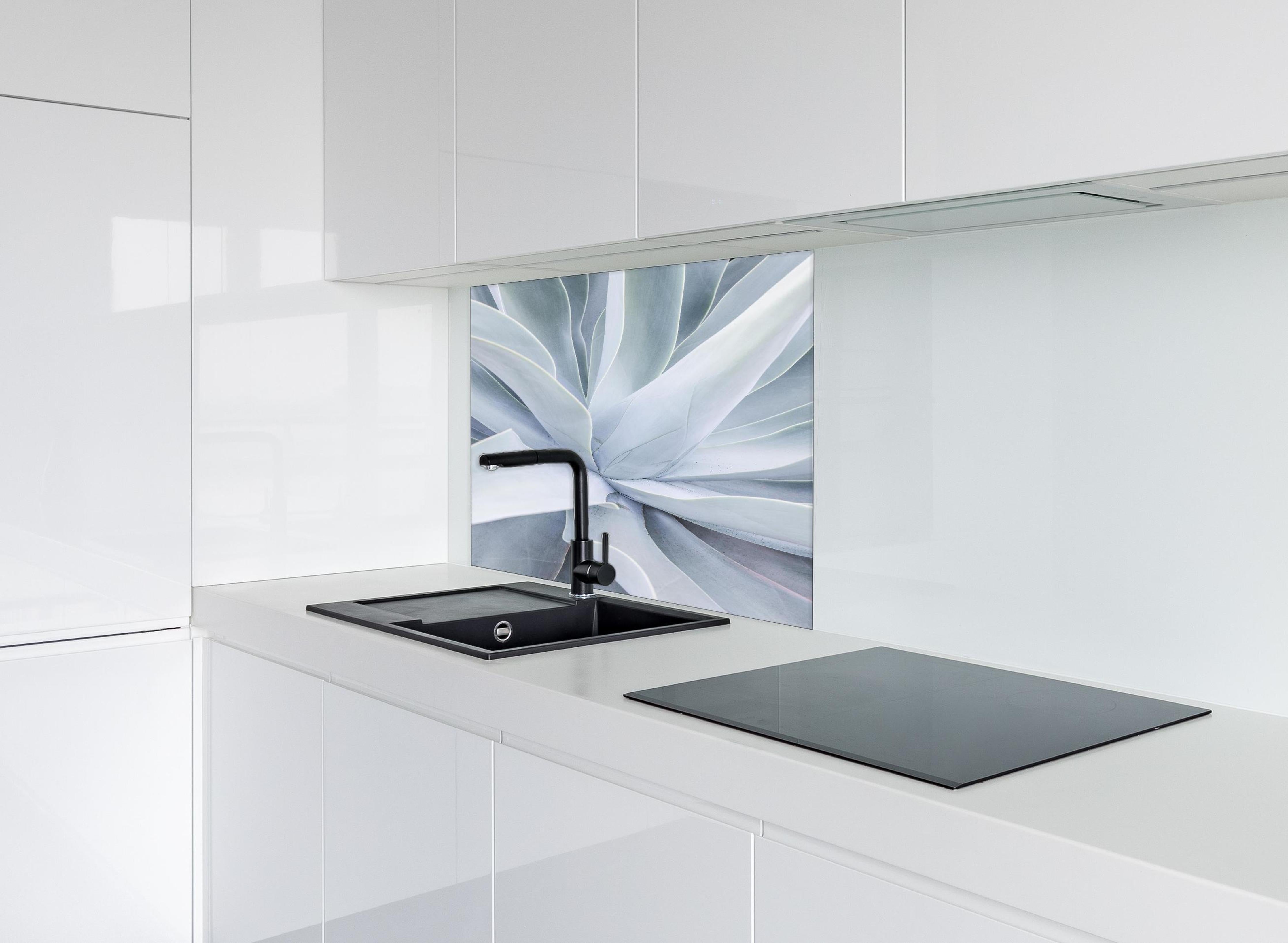 Spritzschutz - Detailreiche Mintgrüne Sukkulenten-Textur hinter einem Cerankochfeld zwischen Holz-Kochutensilien
