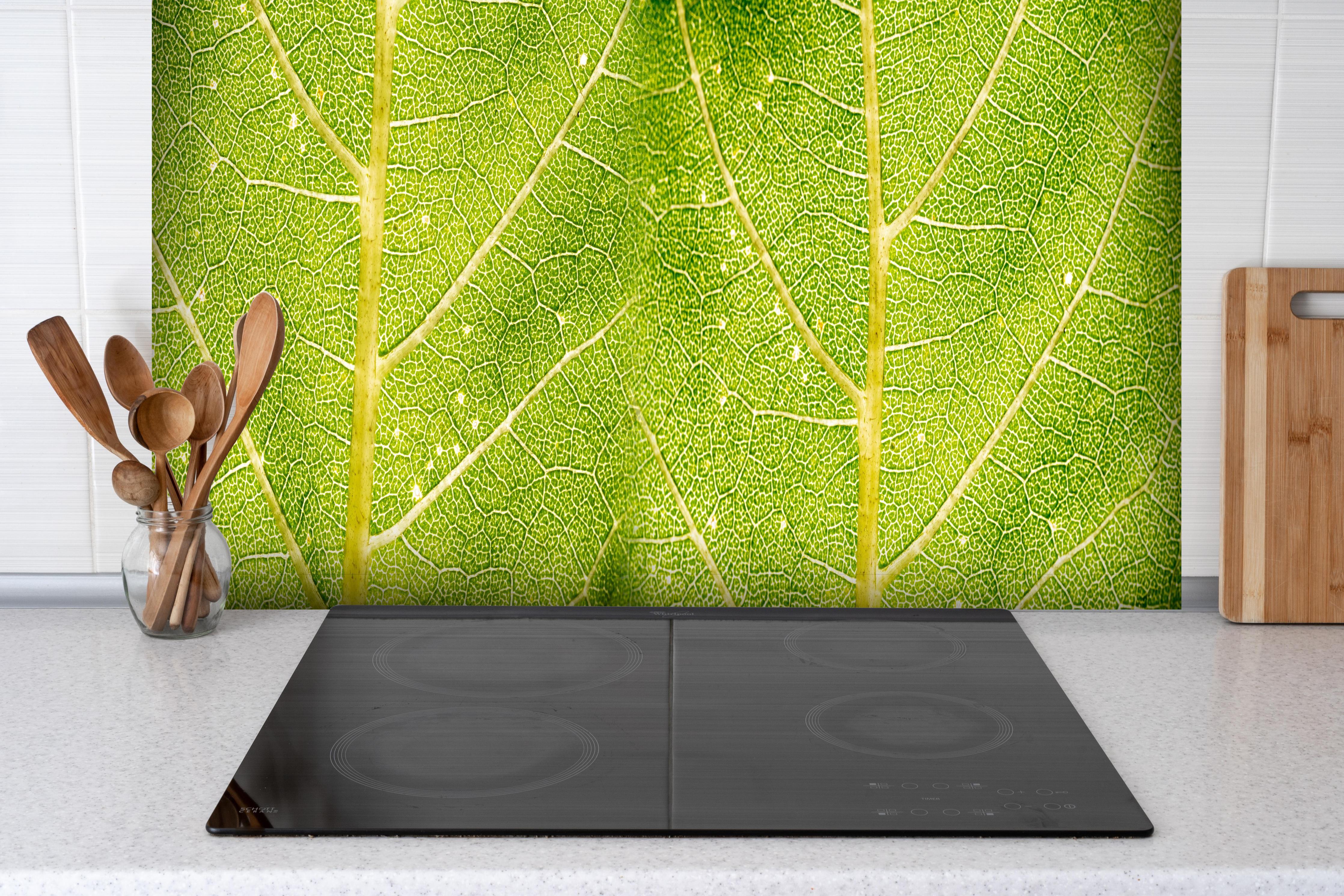 Spritzschutz - Detailreiche Nahaufnahme grüner Blattstruktur hinter einem Cerankochfeld zwischen Holz-Kochutensilien
