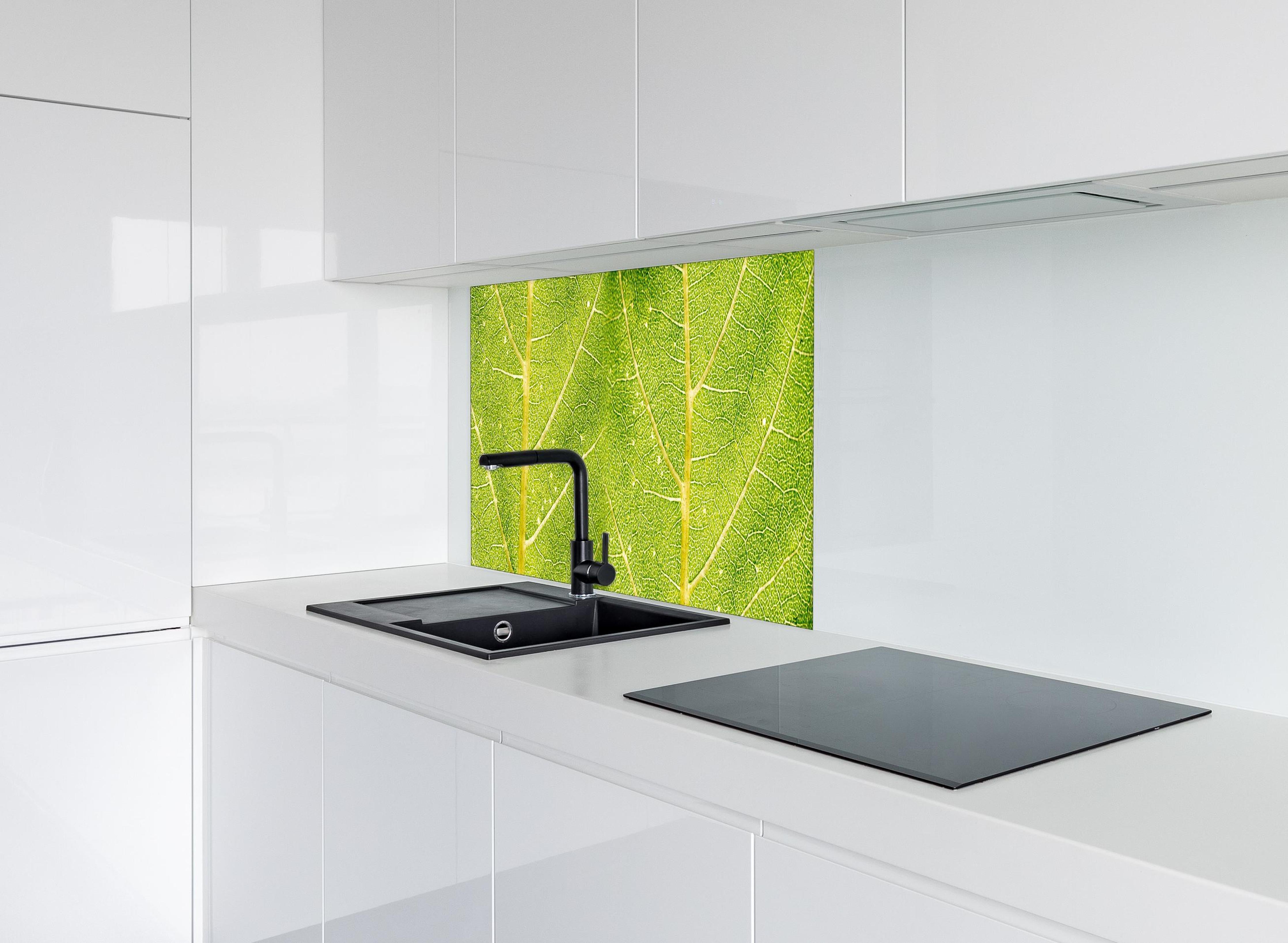 Spritzschutz - Detailreiche Nahaufnahme grüner Blattstruktur hinter einem Cerankochfeld zwischen Holz-Kochutensilien
