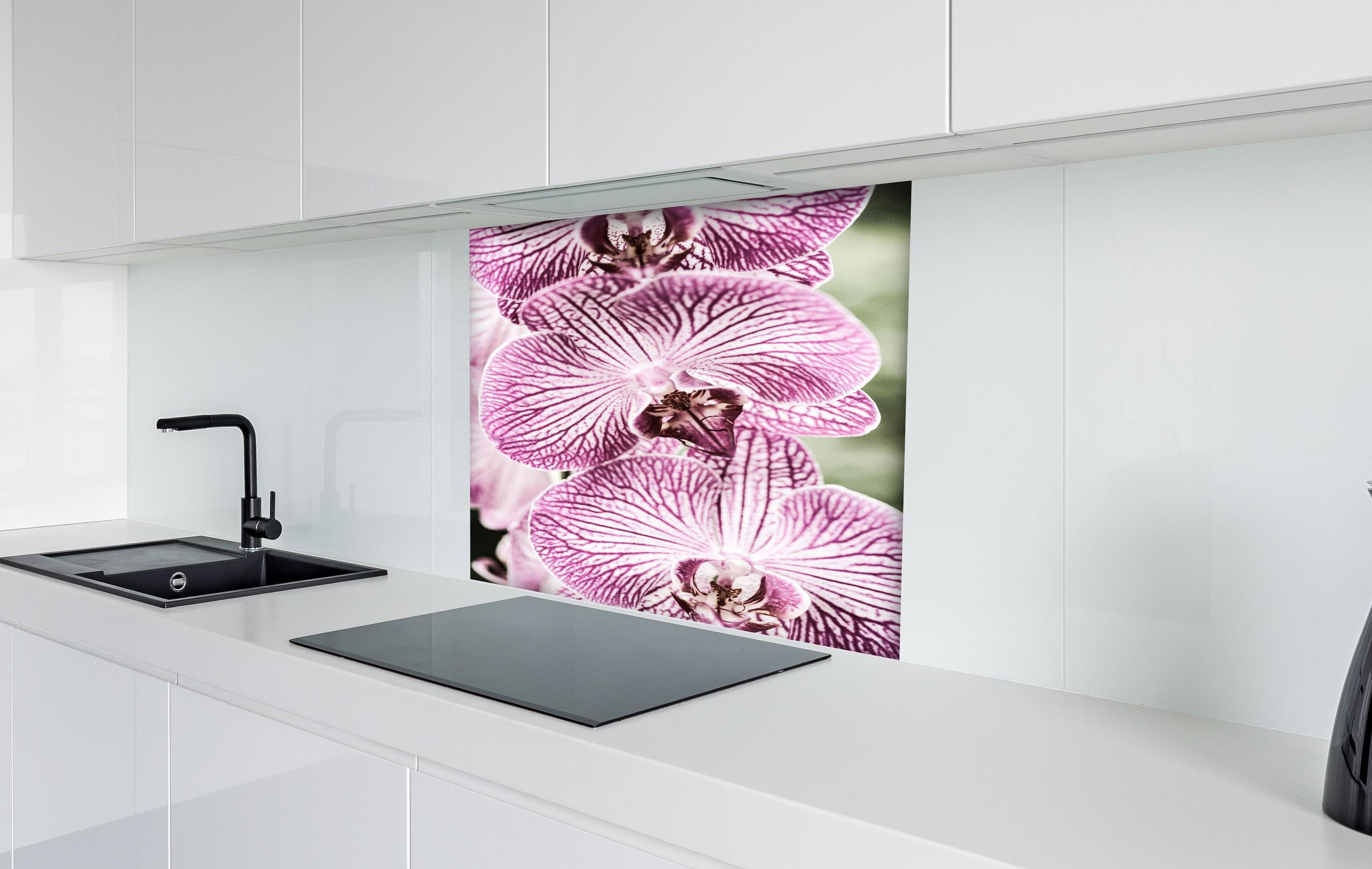 Spritzschutz - Detailreiche Orchideen Makroaufnahme in Pink-Lila hinter einem Cerankochfeld zwischen Holz-Kochutensilien
