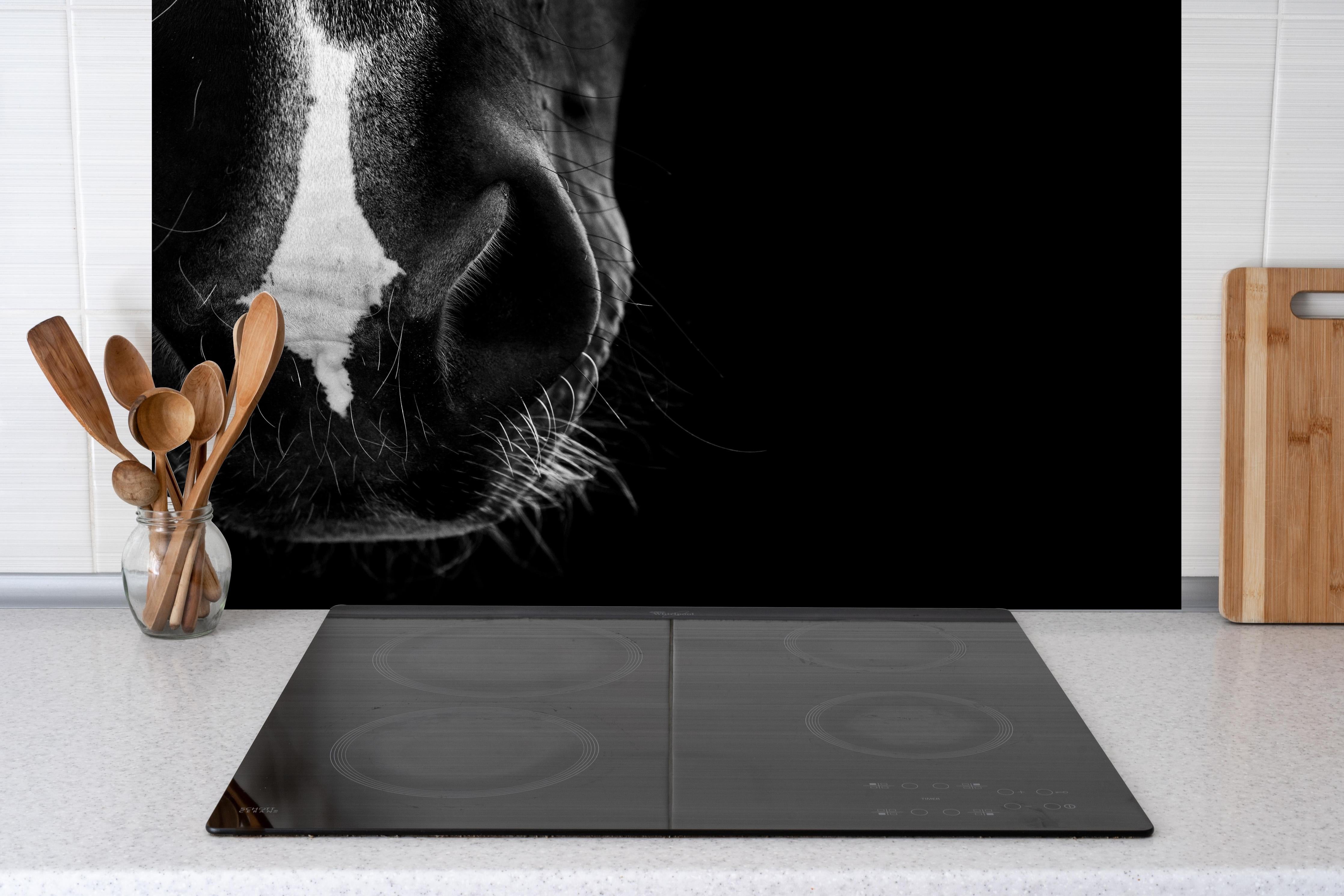 Spritzschutz - Detailreiche Pferdenase in Schwarz-Weiß hinter einem Cerankochfeld zwischen Holz-Kochutensilien
