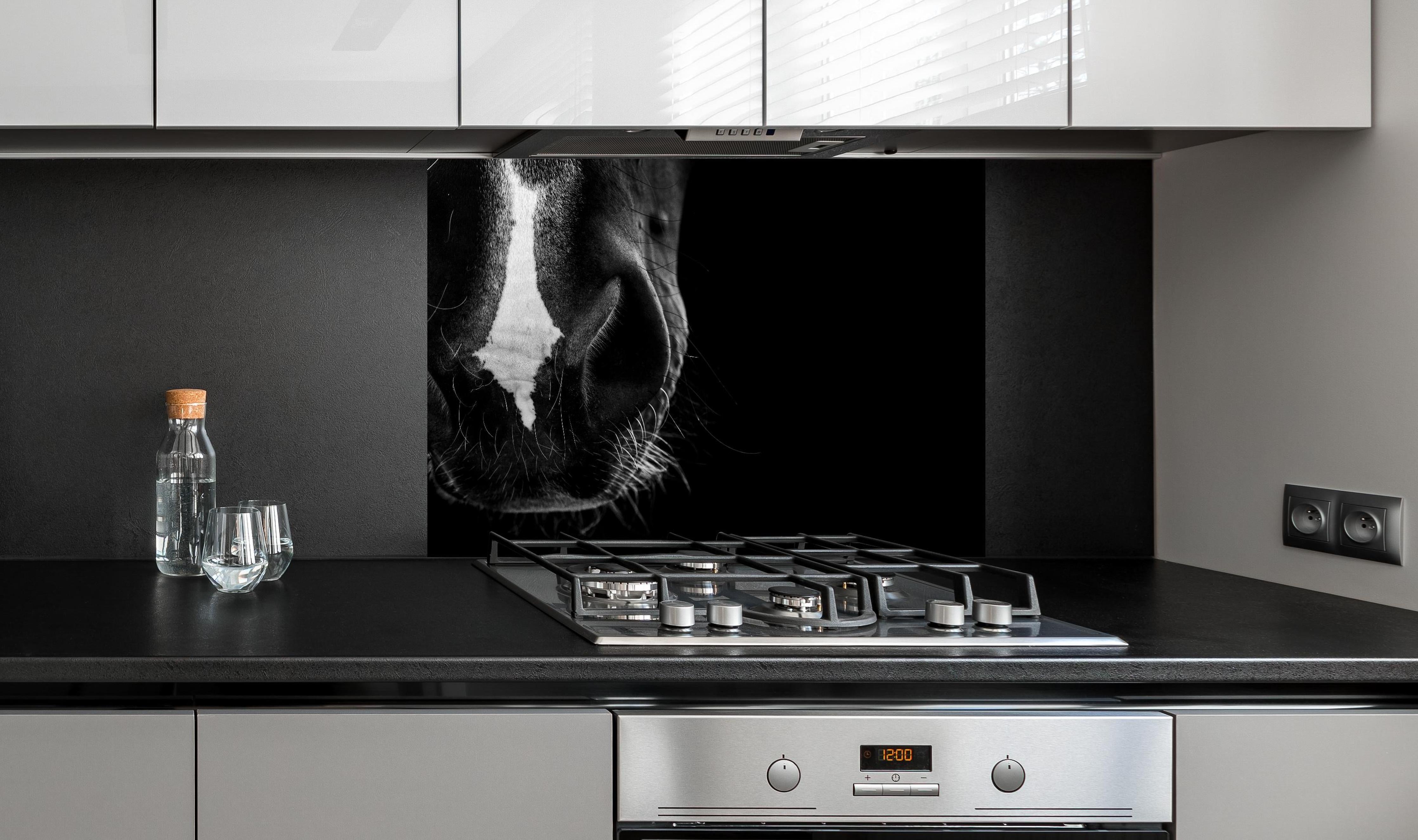 Spritzschutz - Detailreiche Pferdenase in Schwarz-Weiß hinter einem Cerankochfeld zwischen Holz-Kochutensilien
