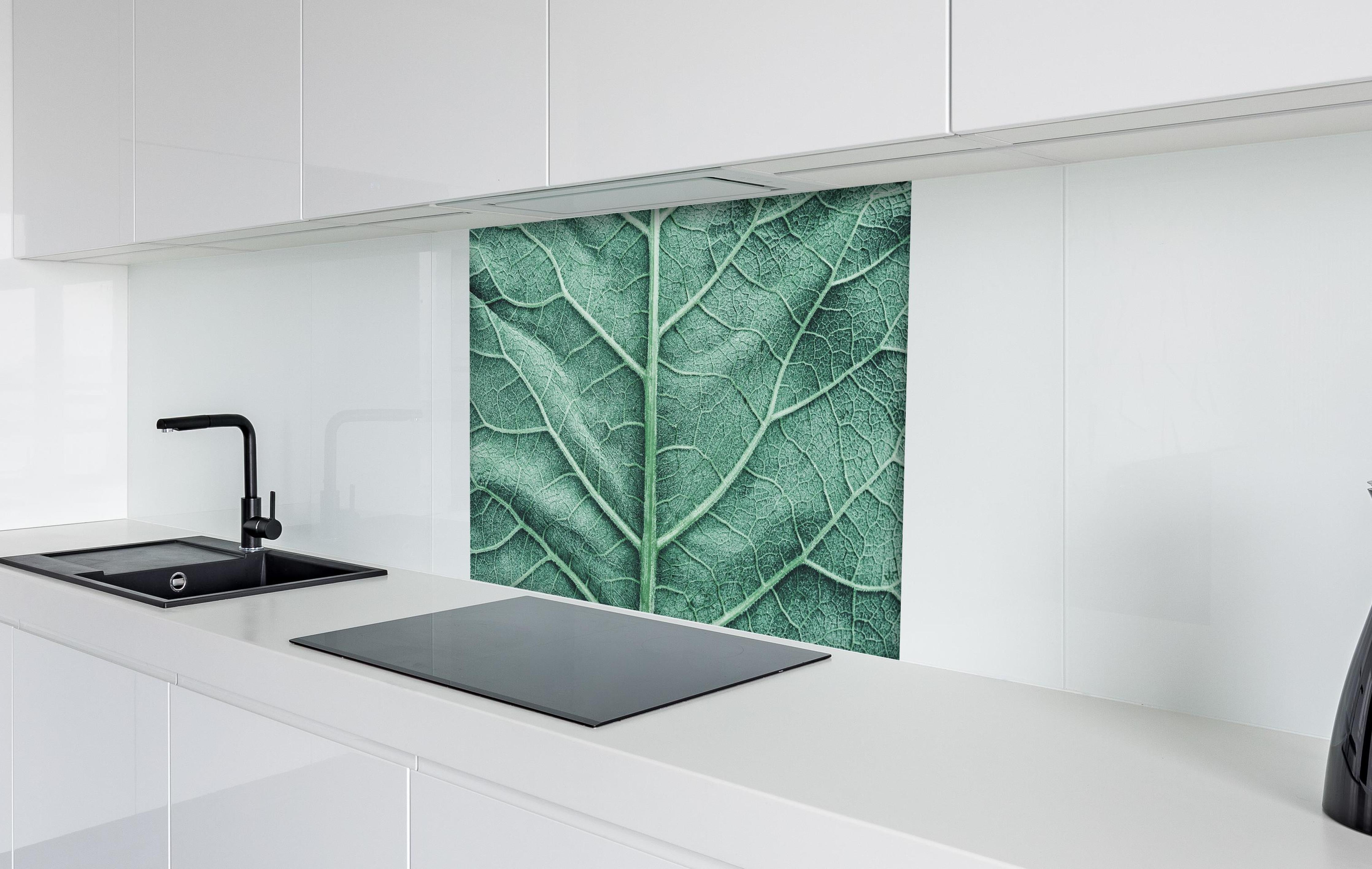 Spritzschutz - Detailreiche grüne Klettenblatt Makroaufnahme hinter einem Cerankochfeld zwischen Holz-Kochutensilien
