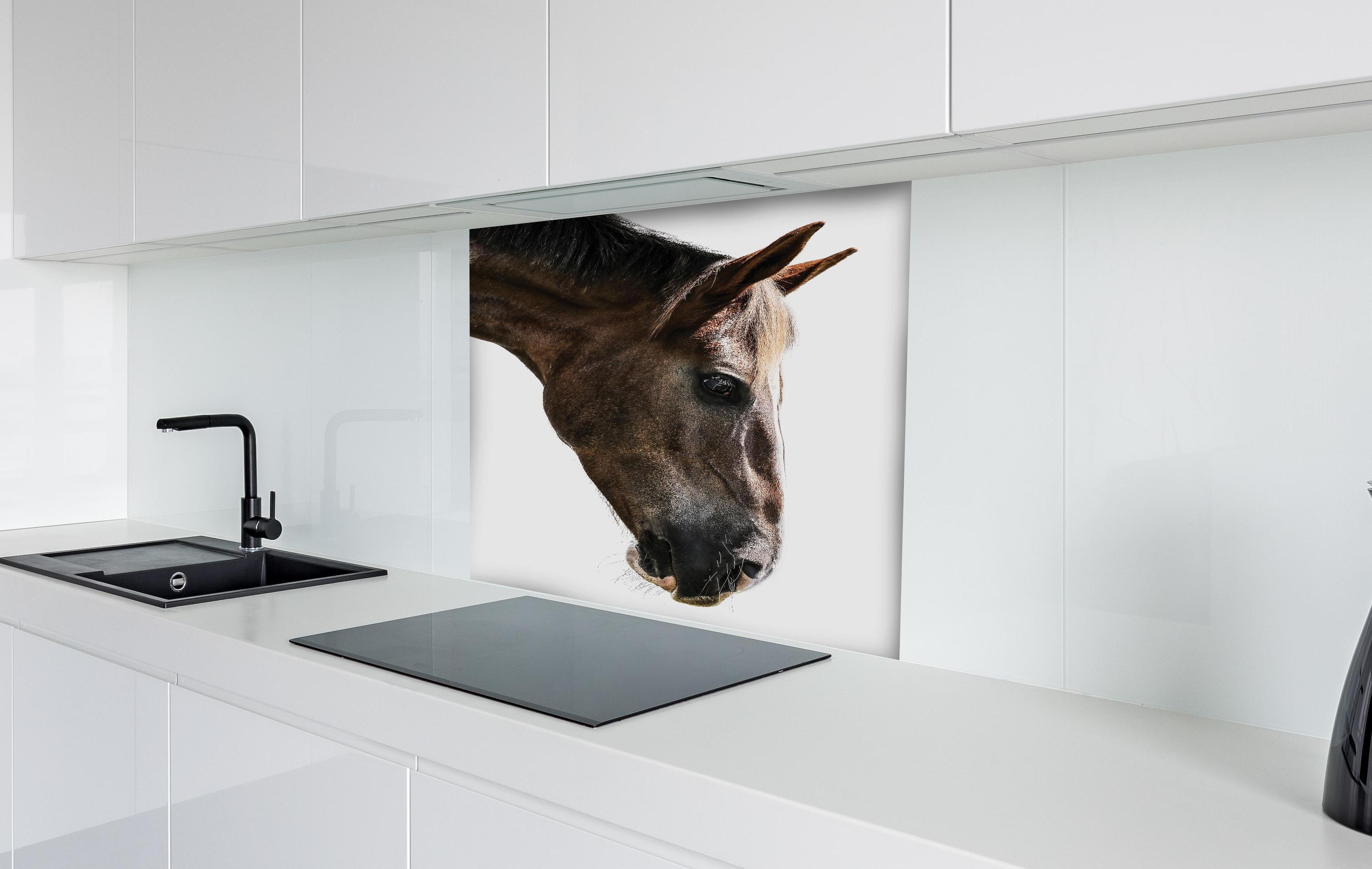Spritzschutz - Detailreiches Braun-Weißes Pferdeportrait hinter einem Cerankochfeld zwischen Holz-Kochutensilien
