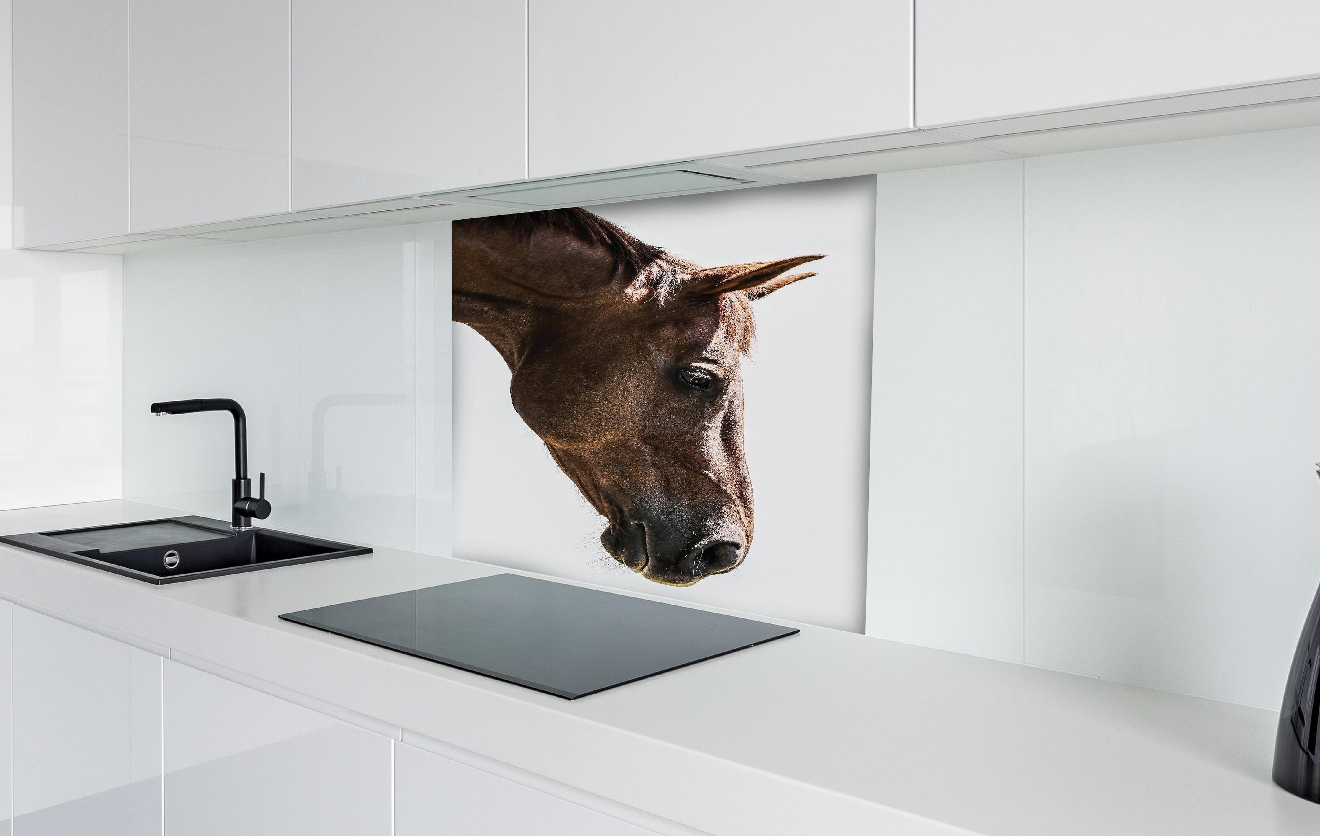 Spritzschutz - Detailreiches Pferdeauge, Makro, Hellbraun hinter einem Cerankochfeld zwischen Holz-Kochutensilien
