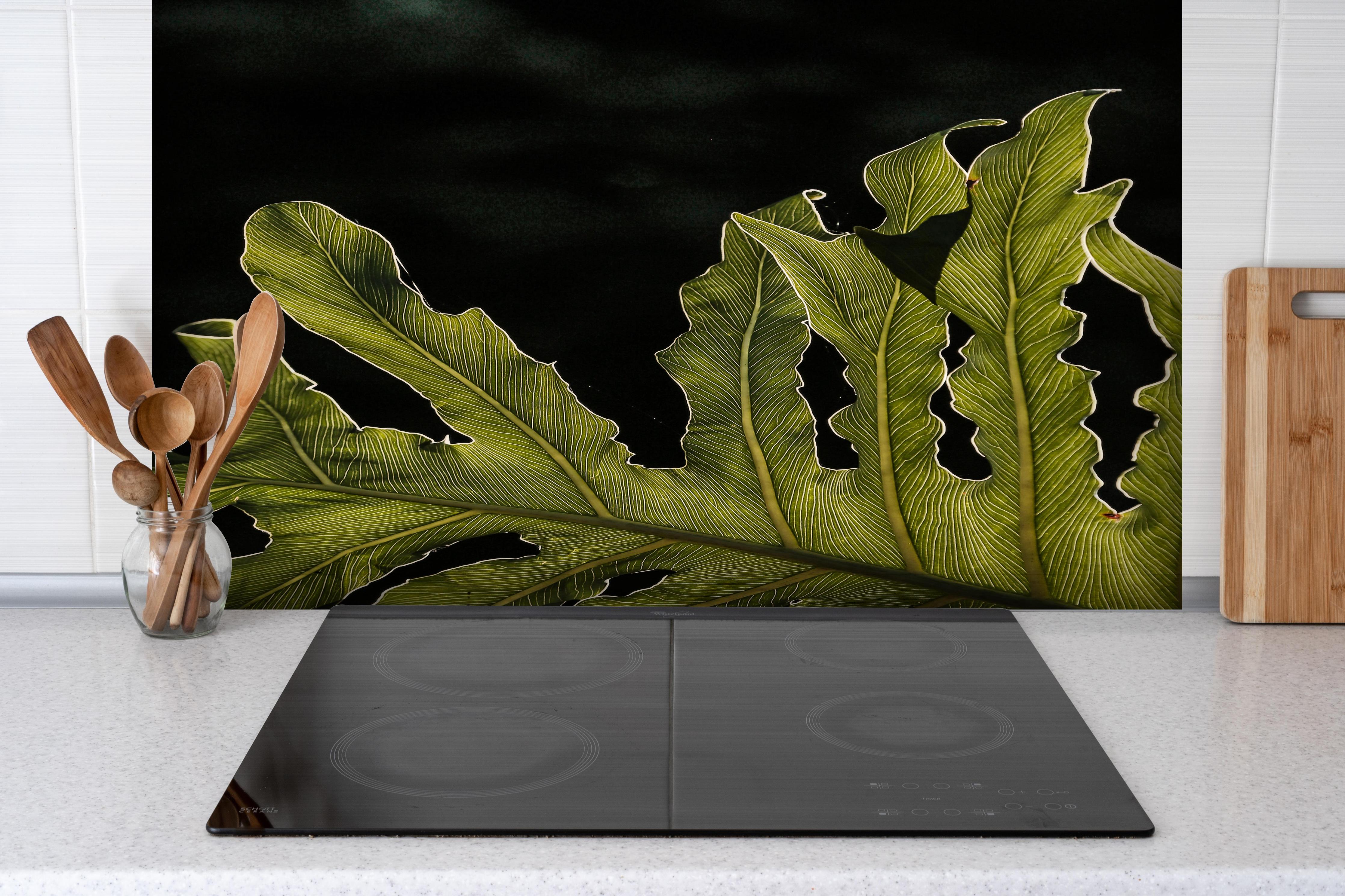 Spritzschutz - Dunkelgrün Beleuchtetes Blatt, Schwarzer Hintergrund hinter einem Cerankochfeld zwischen Holz-Kochutensilien
