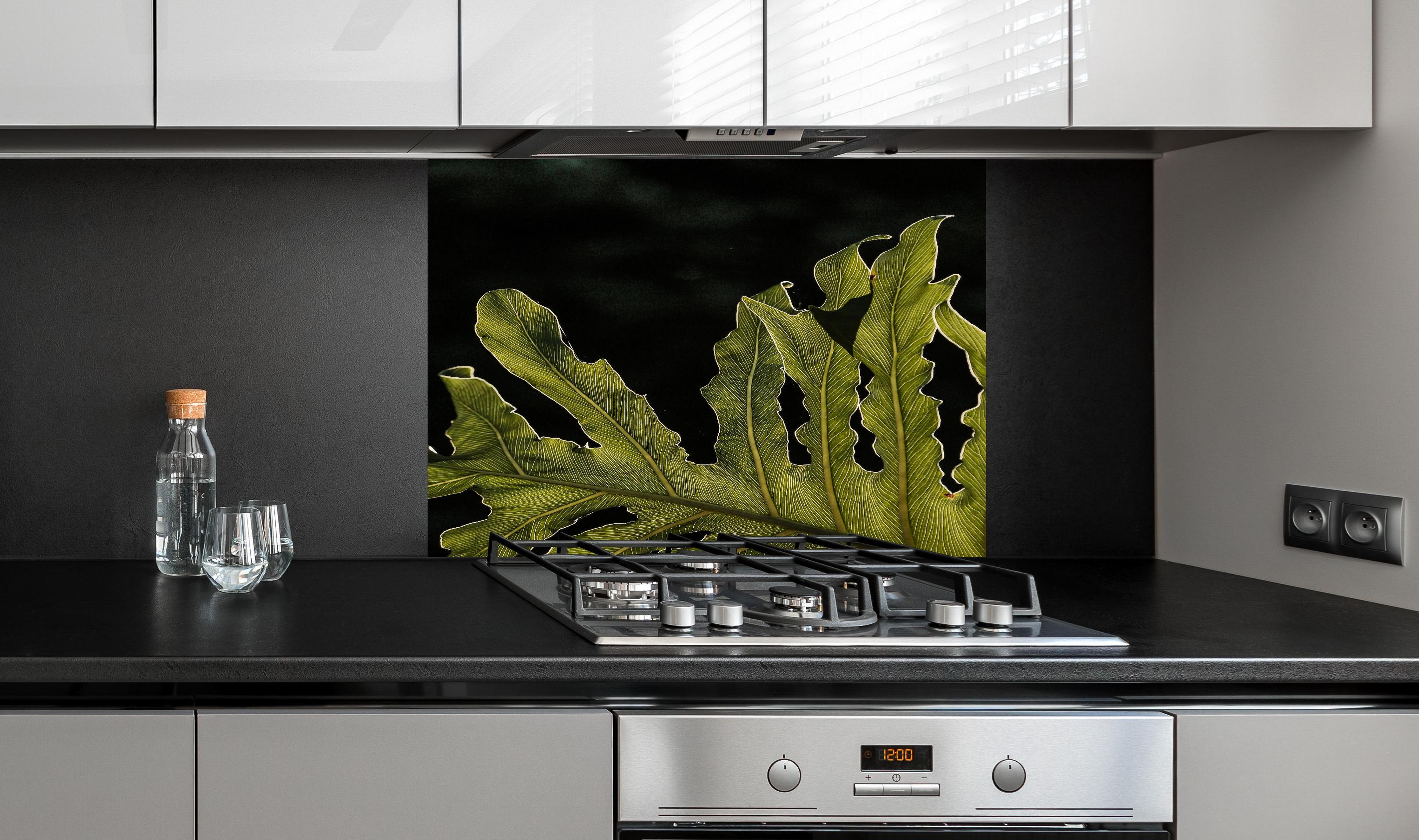Spritzschutz - Dunkelgrün Beleuchtetes Blatt, Schwarzer Hintergrund hinter einem Cerankochfeld zwischen Holz-Kochutensilien
