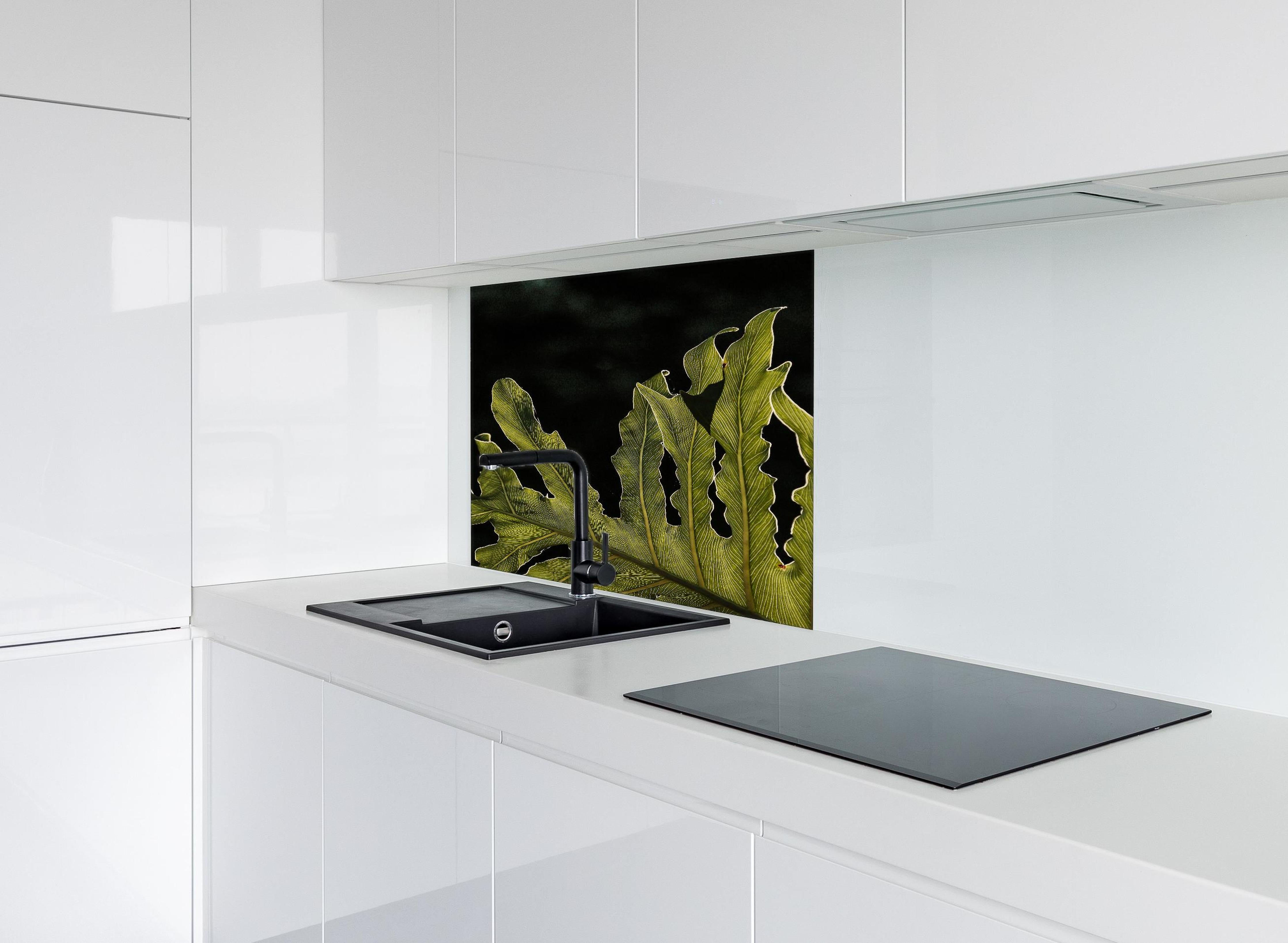 Spritzschutz - Dunkelgrün Beleuchtetes Blatt, Schwarzer Hintergrund hinter einem Cerankochfeld zwischen Holz-Kochutensilien
