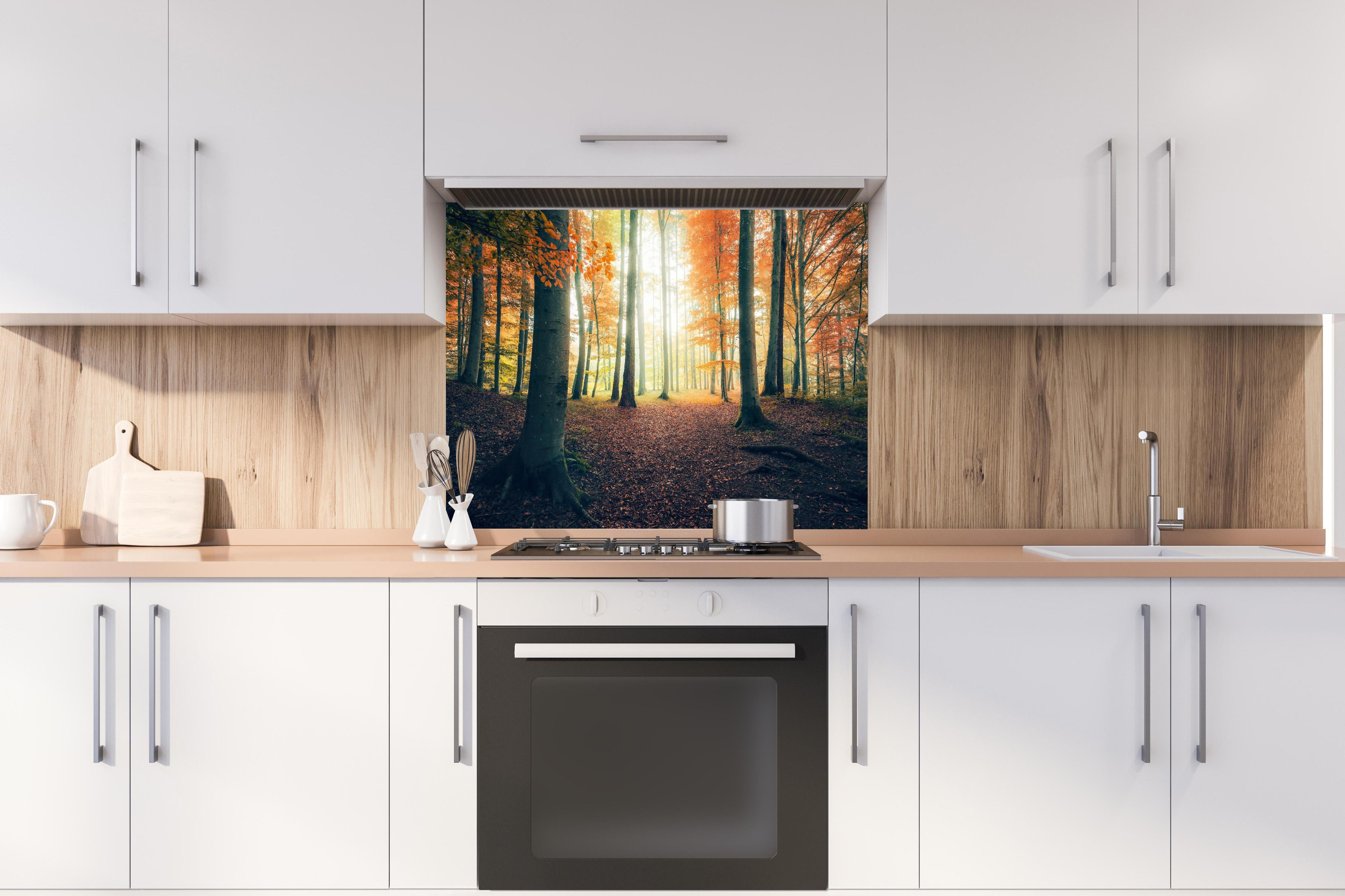 Spritzschutz - Dunkler Wald im Herbst hinter einem Cerankochfeld zwischen Holz-Kochutensilien
