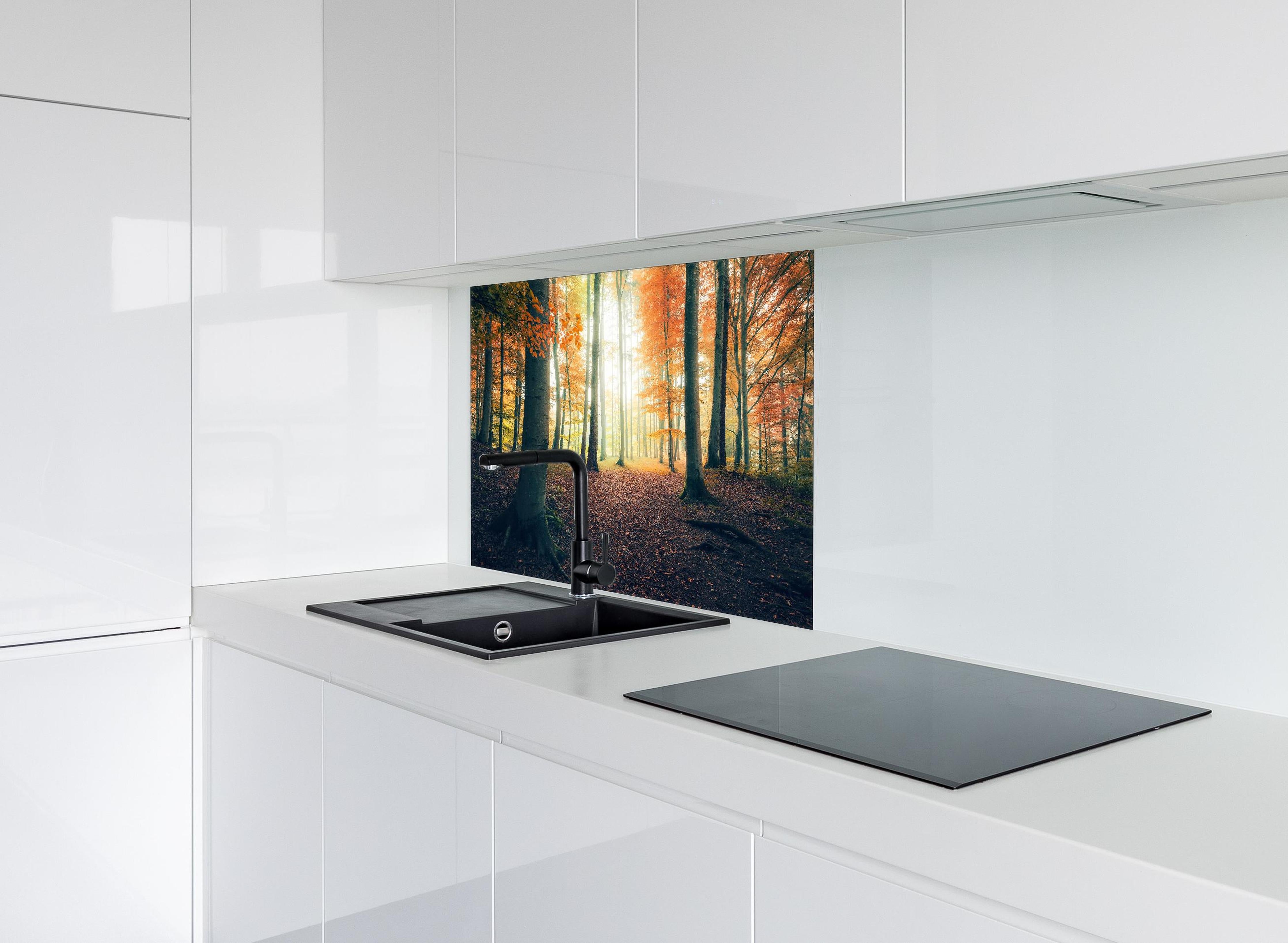 Spritzschutz - Dunkler Wald im Herbst hinter einem Cerankochfeld zwischen Holz-Kochutensilien
