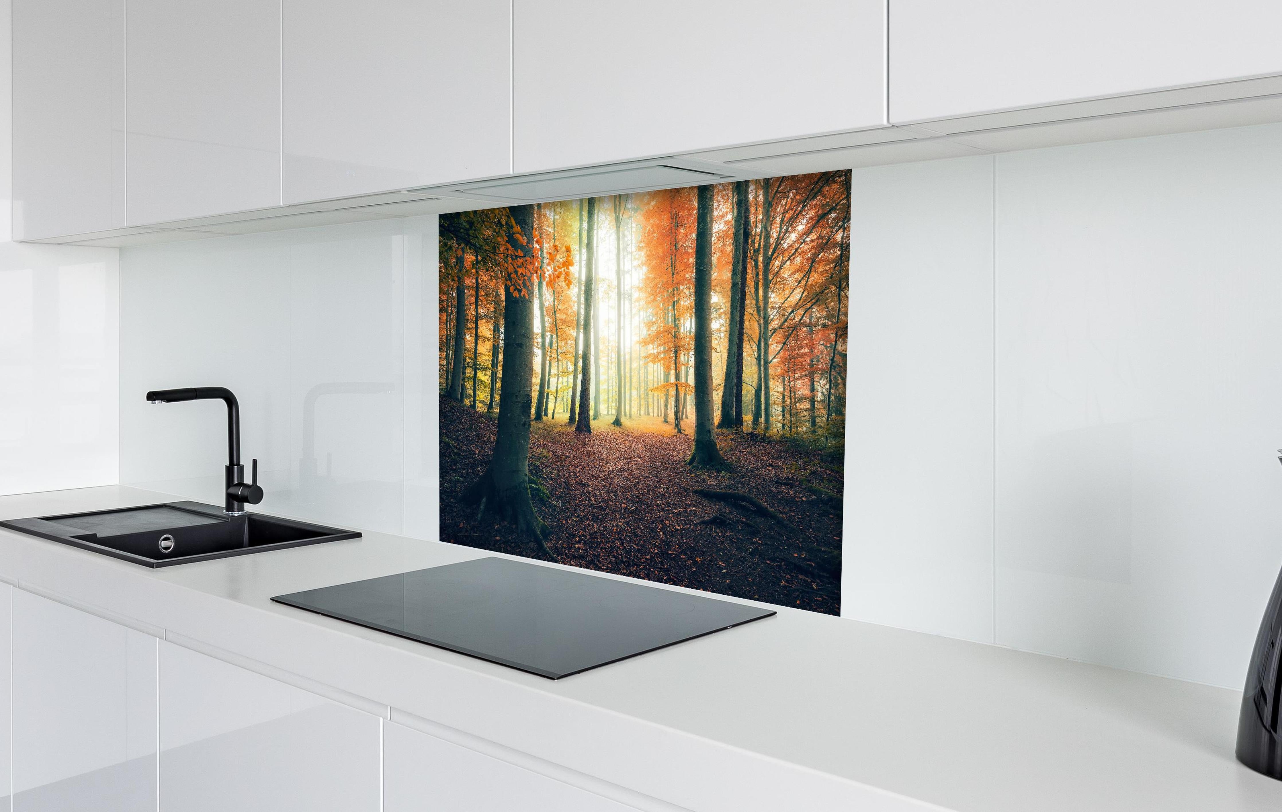 Spritzschutz - Dunkler Wald im Herbst hinter einem Cerankochfeld zwischen Holz-Kochutensilien
