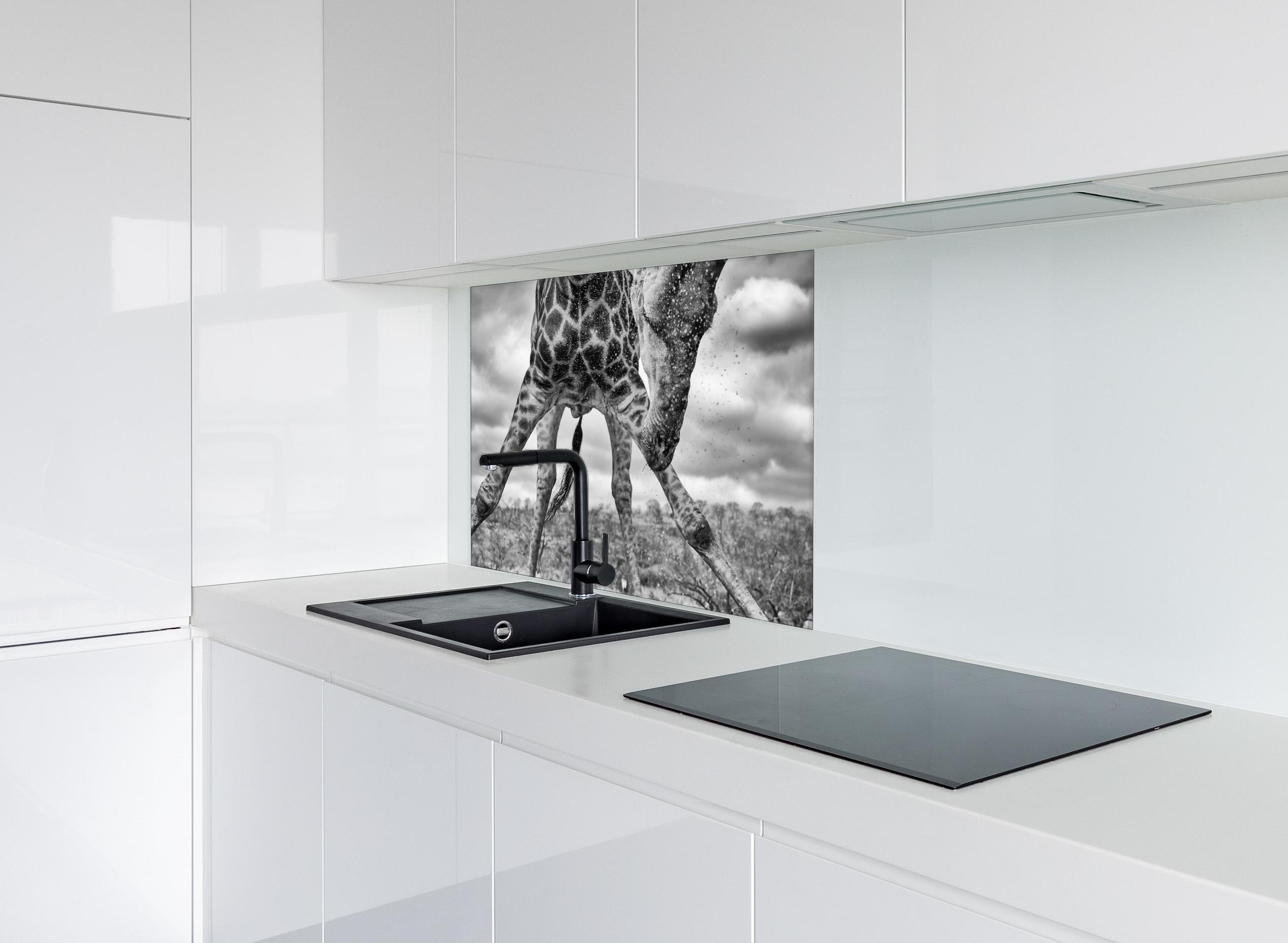 Spritzschutz - Dynamische Giraffe Schwarz-Weiß Momentaufnahme hinter einem Cerankochfeld zwischen Holz-Kochutensilien
