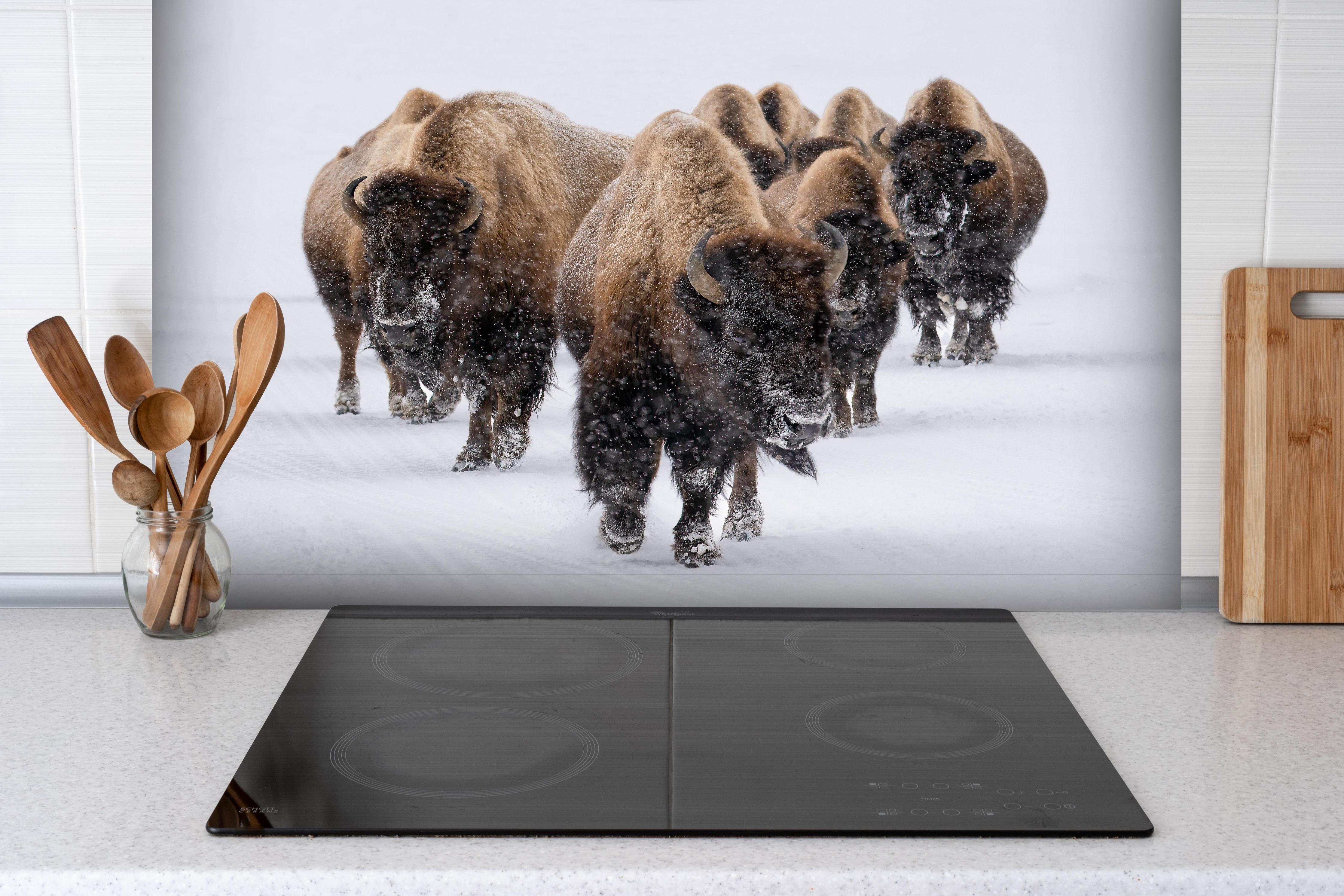 Spritzschutz - Eine Bison Herde hinter einem Cerankochfeld zwischen Holz-Kochutensilien
