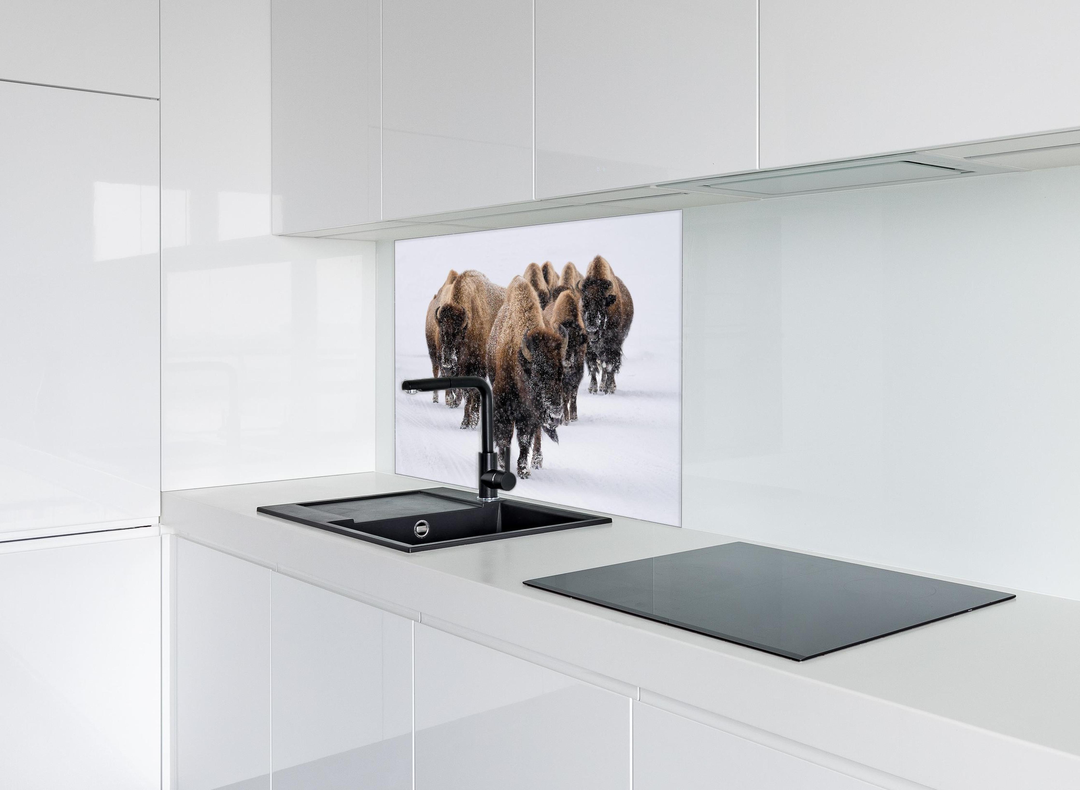 Spritzschutz - Eine Bison Herde hinter einem Cerankochfeld zwischen Holz-Kochutensilien
