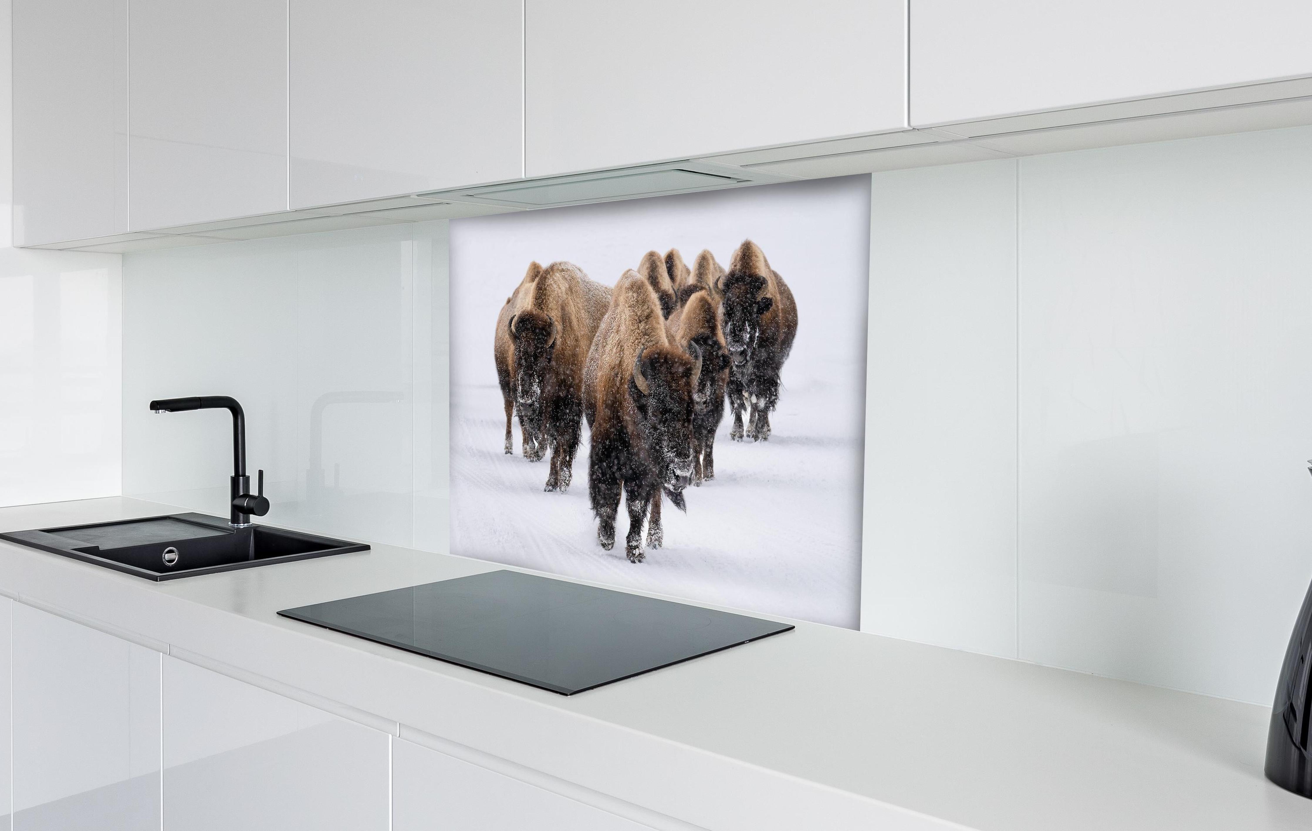 Spritzschutz - Eine Bison Herde hinter einem Cerankochfeld zwischen Holz-Kochutensilien
