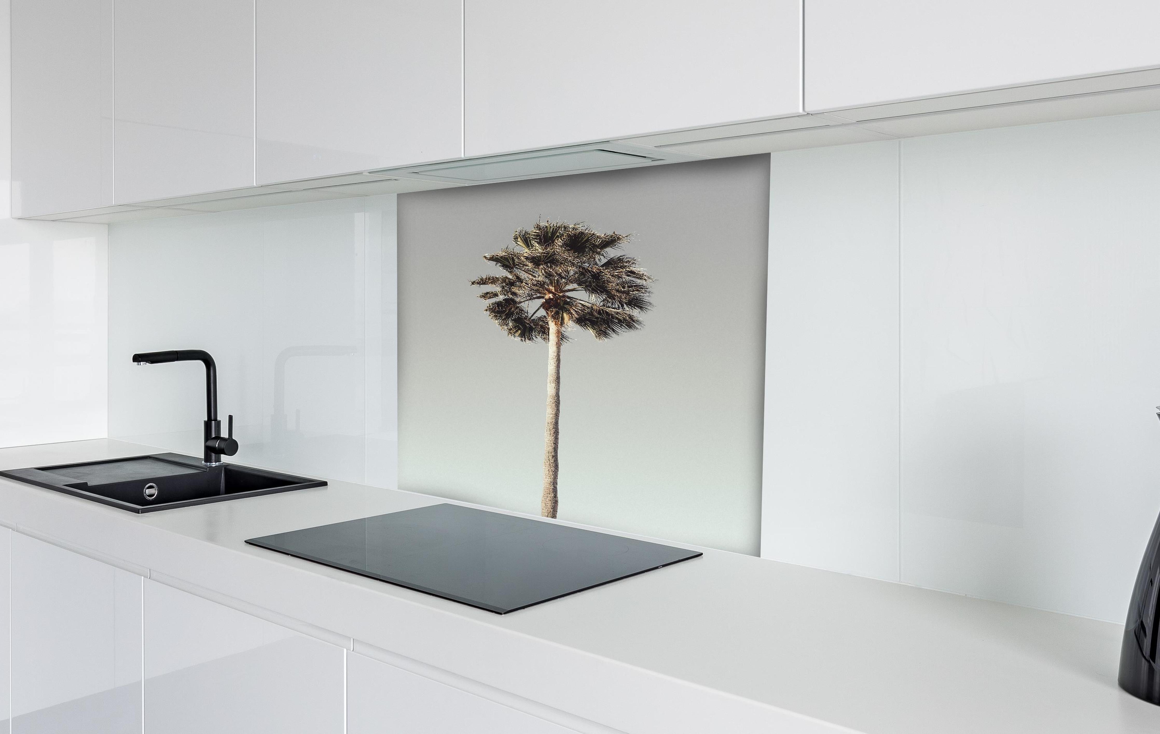Spritzschutz - Einfache Palme  hinter einem Cerankochfeld zwischen Holz-Kochutensilien
