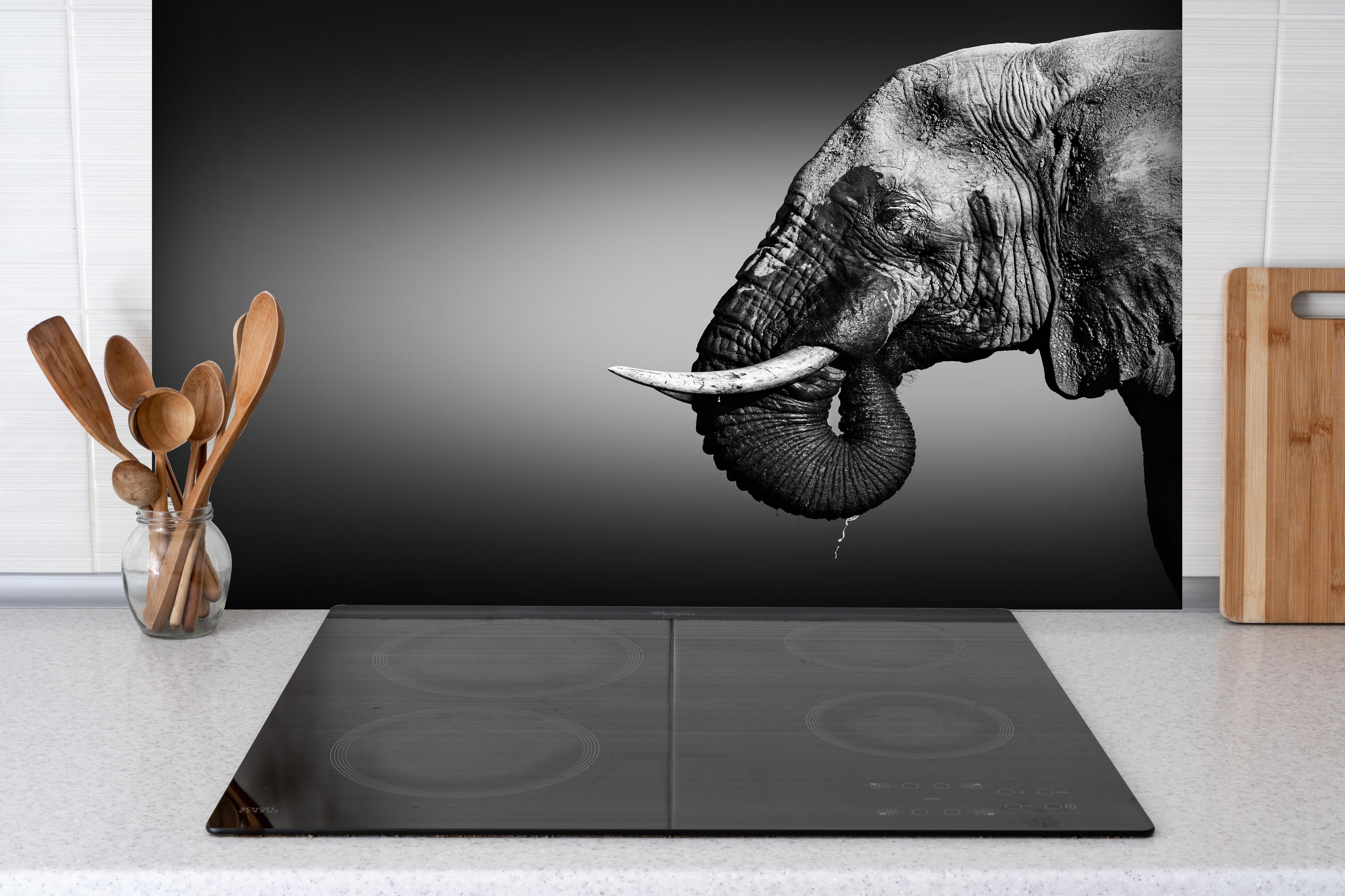 Spritzschutz - Elefanten Portrait hinter einem Cerankochfeld zwischen Holz-Kochutensilien
