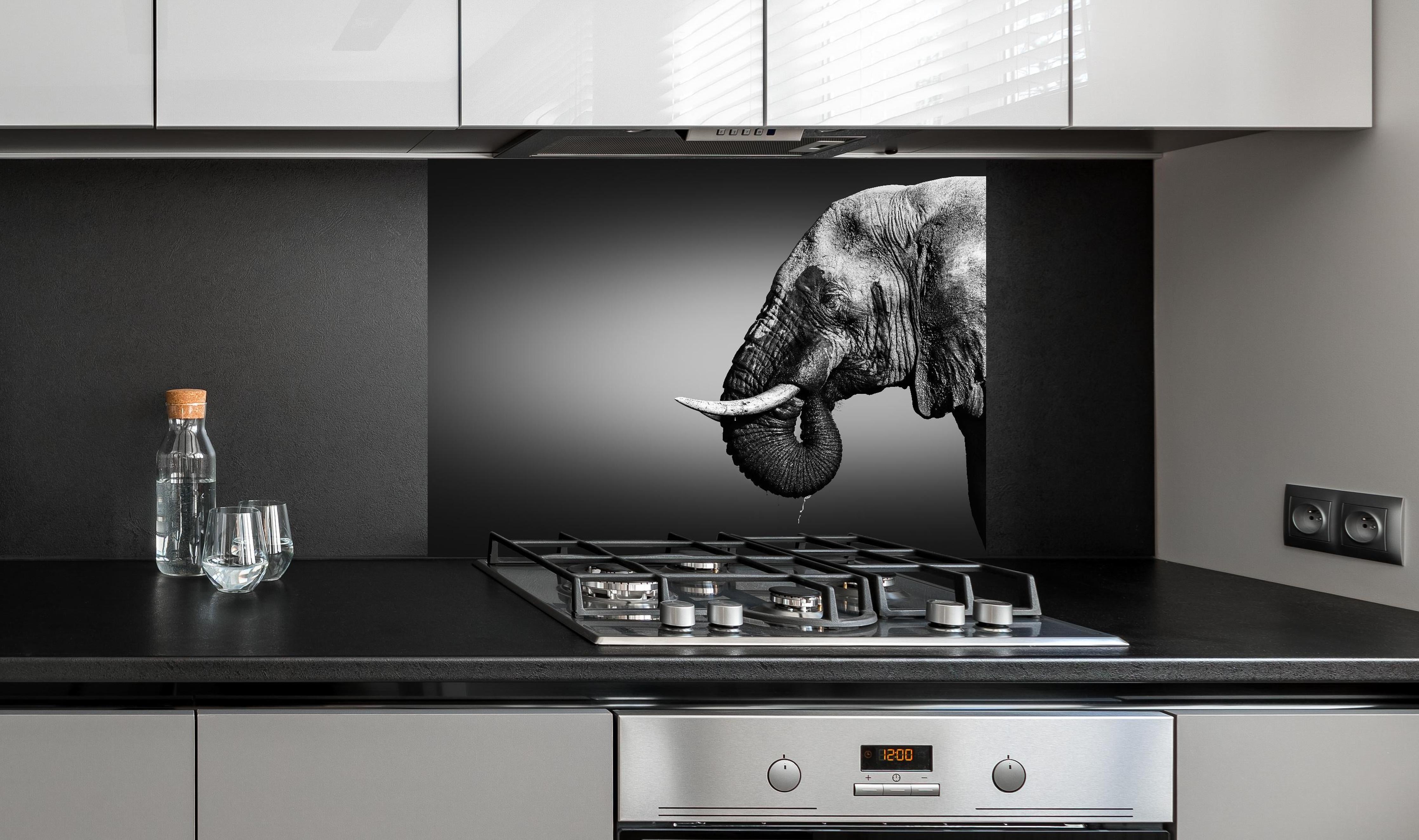 Spritzschutz - Elefanten Portrait hinter einem Cerankochfeld zwischen Holz-Kochutensilien
