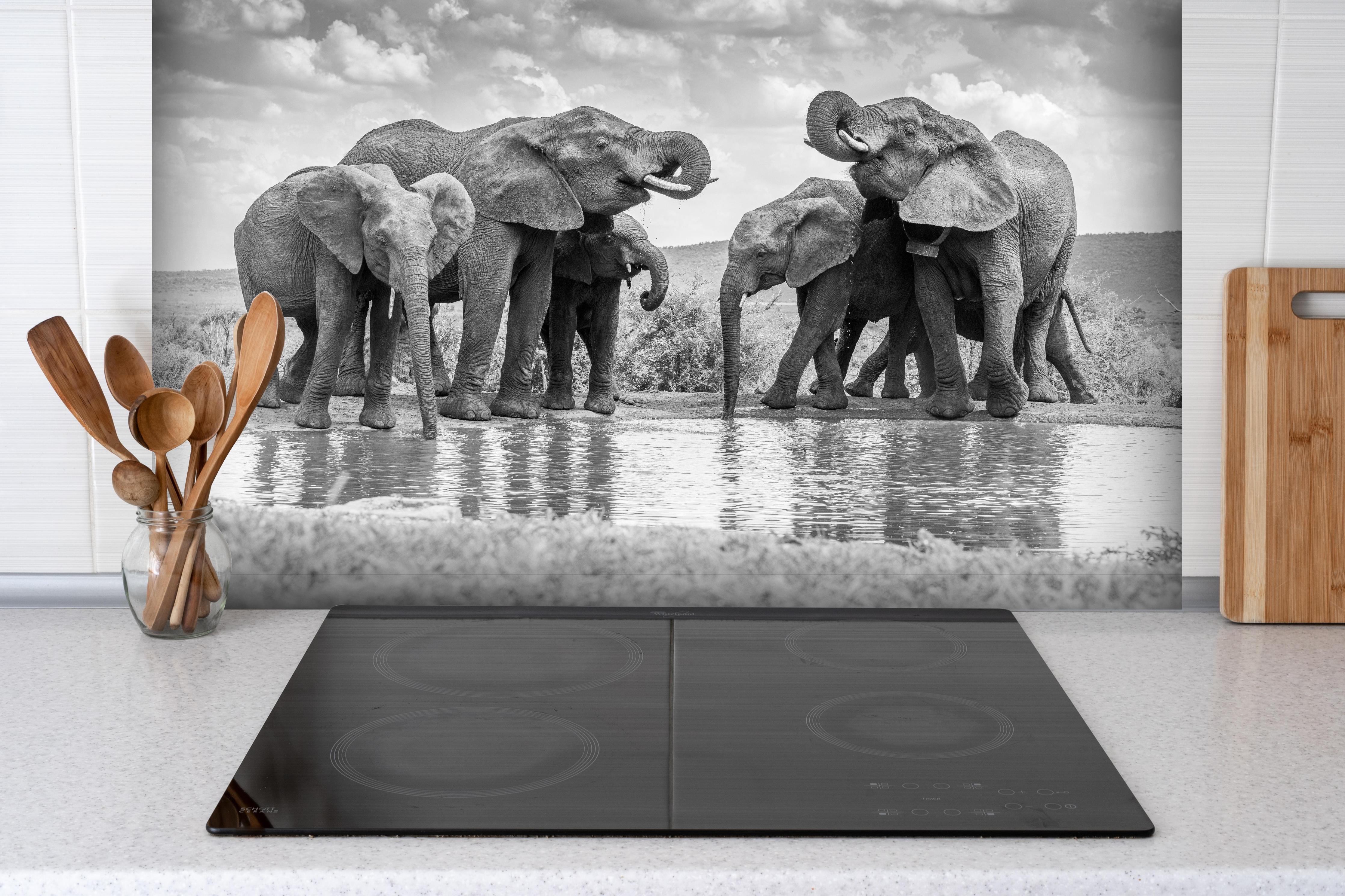Spritzschutz - Elefanten an der Wasserstelle hinter einem Cerankochfeld zwischen Holz-Kochutensilien
