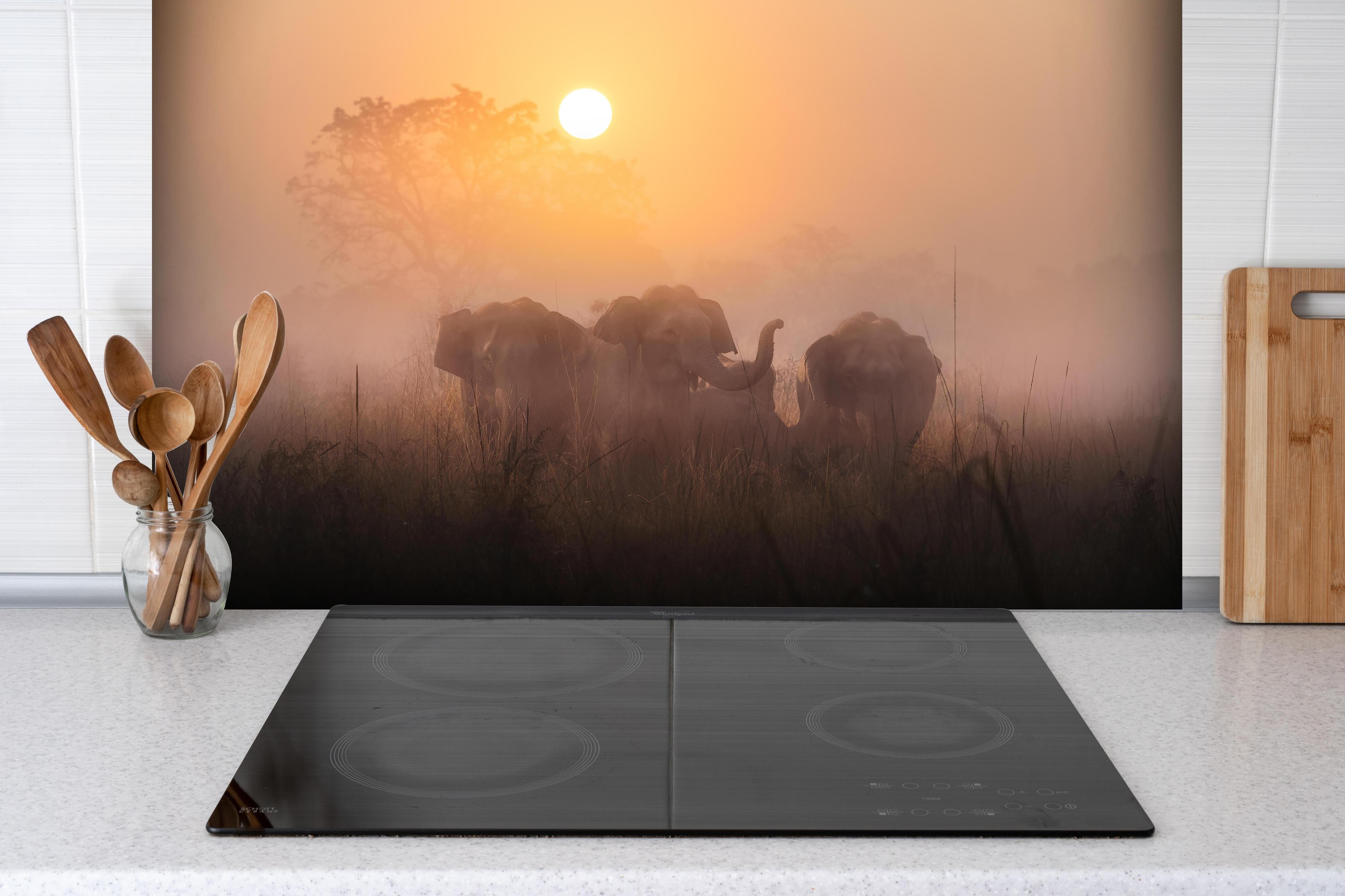 Spritzschutz - Elefanten bei Morgengrauen hinter einem Cerankochfeld zwischen Holz-Kochutensilien
