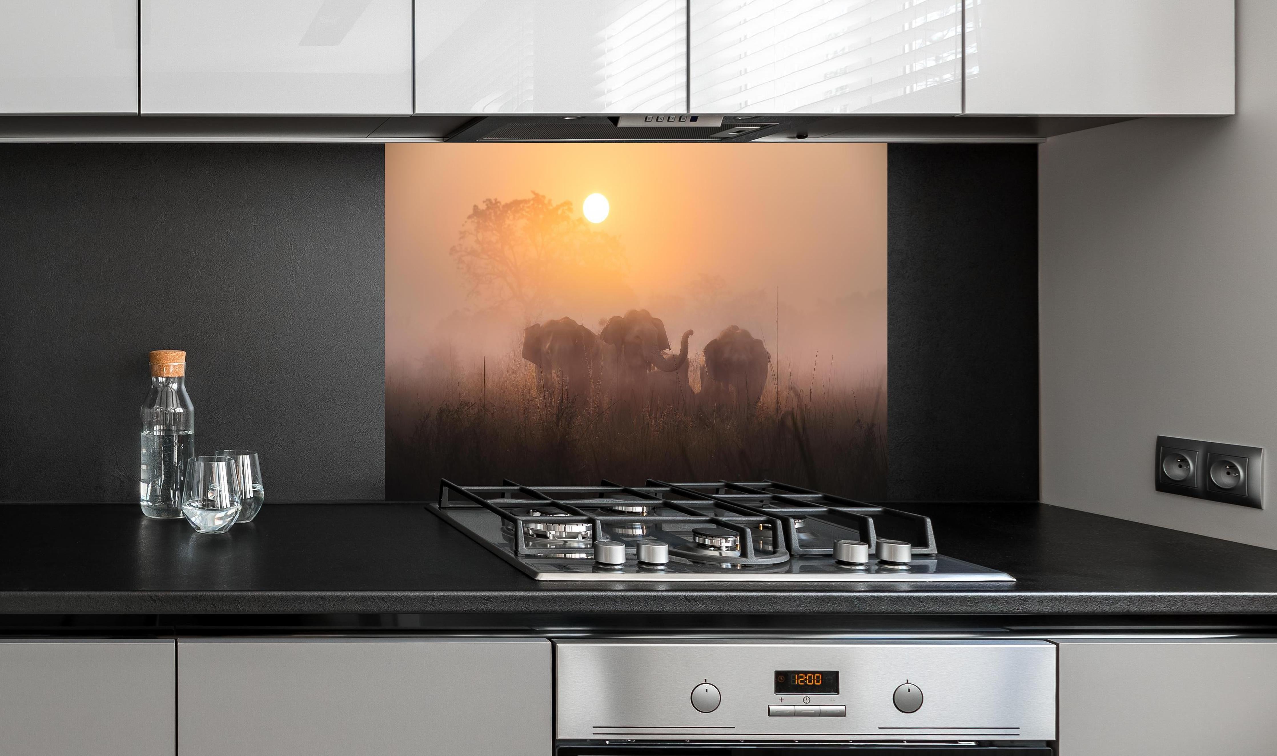 Spritzschutz - Elefanten bei Morgengrauen hinter einem Cerankochfeld zwischen Holz-Kochutensilien
