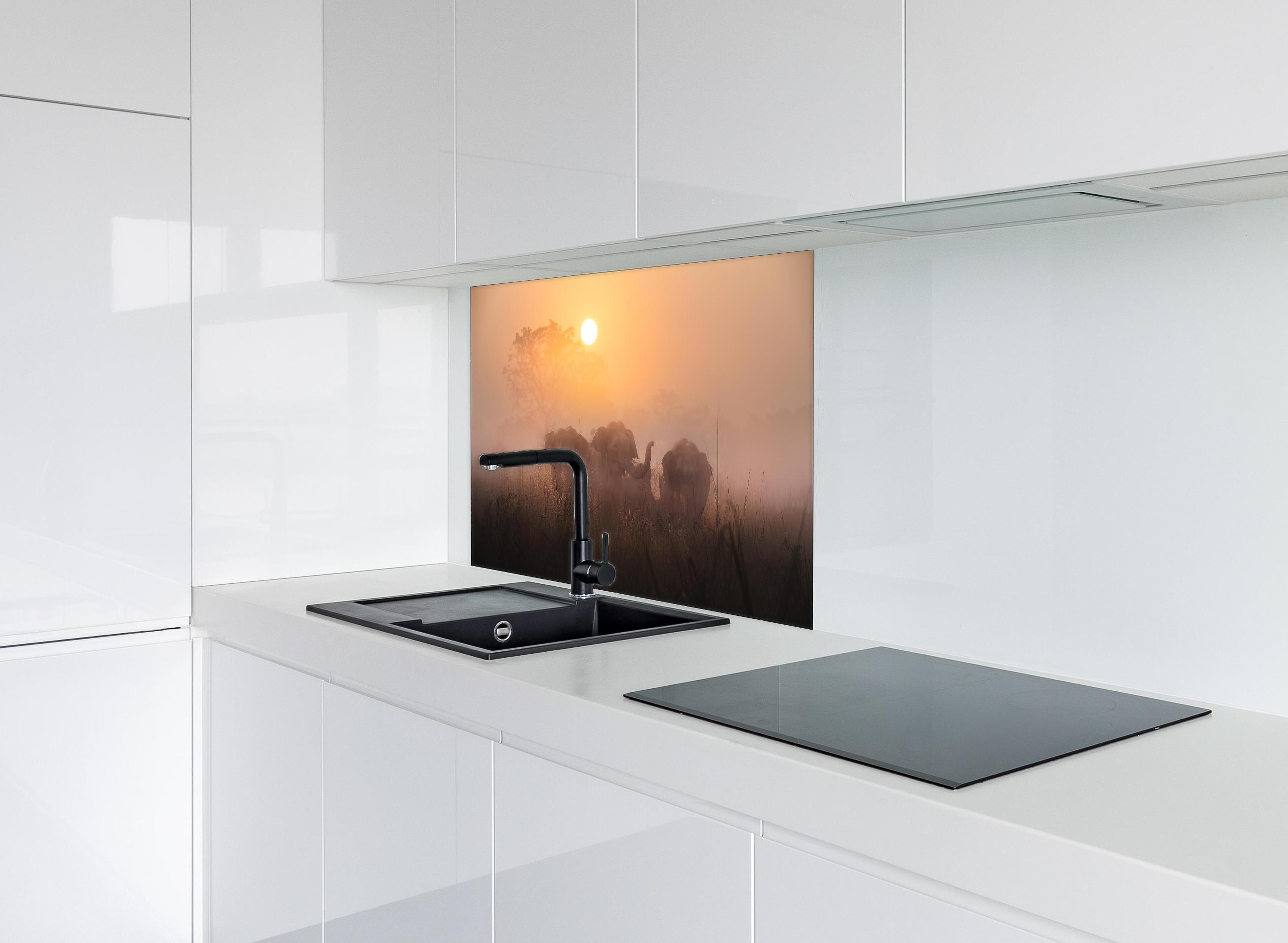 Spritzschutz - Elefanten bei Morgengrauen hinter einem Cerankochfeld zwischen Holz-Kochutensilien
