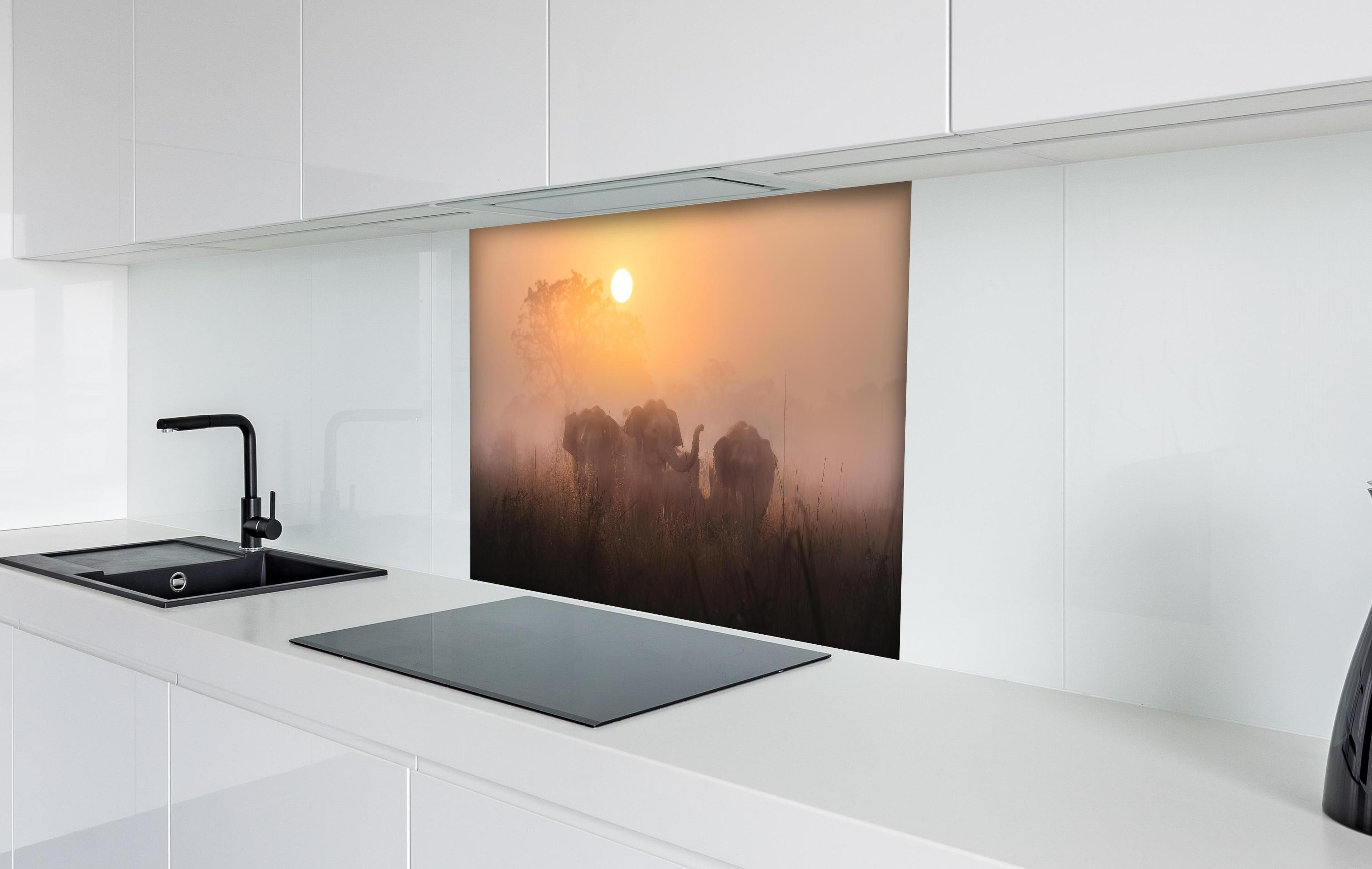 Spritzschutz - Elefanten bei Morgengrauen hinter einem Cerankochfeld zwischen Holz-Kochutensilien
