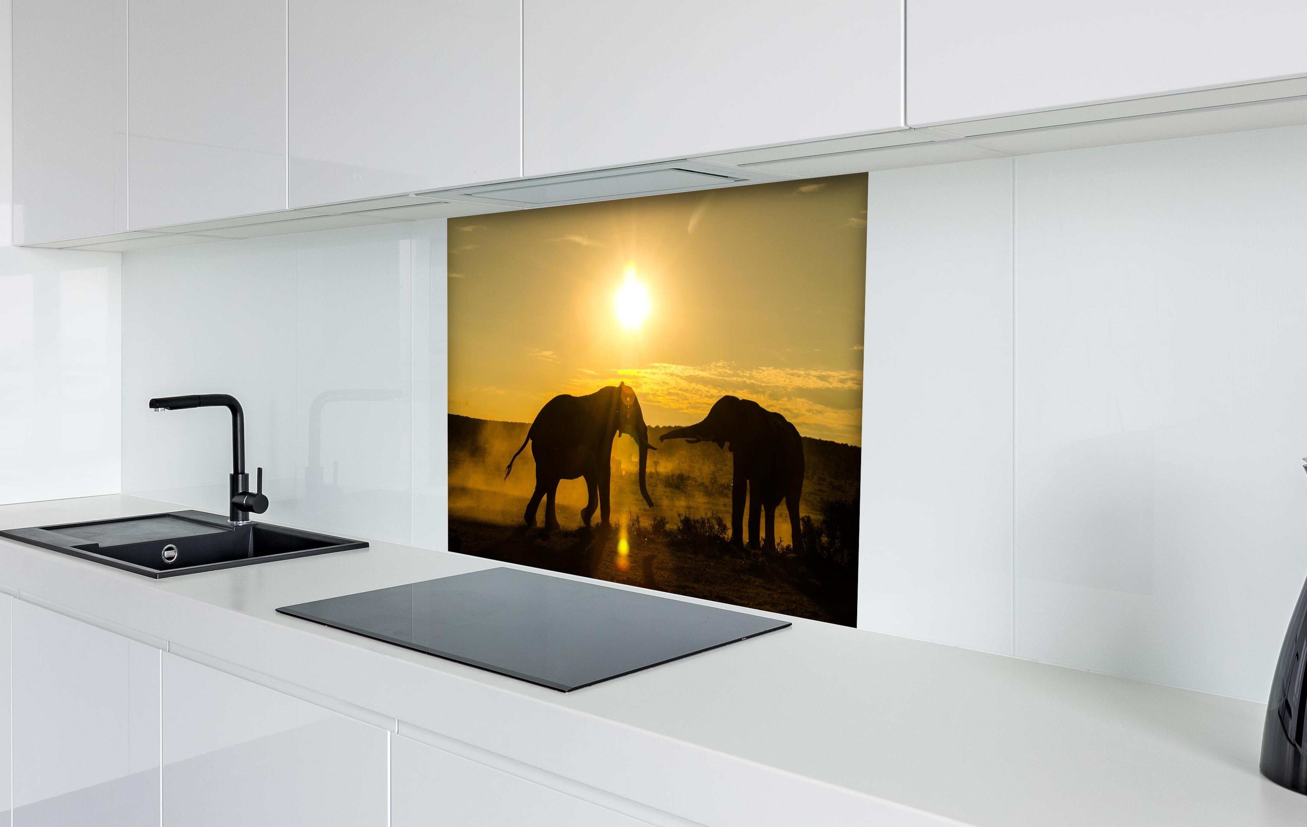 Spritzschutz - Elefanten bei Sonnenuntergang hinter einem Cerankochfeld zwischen Holz-Kochutensilien
