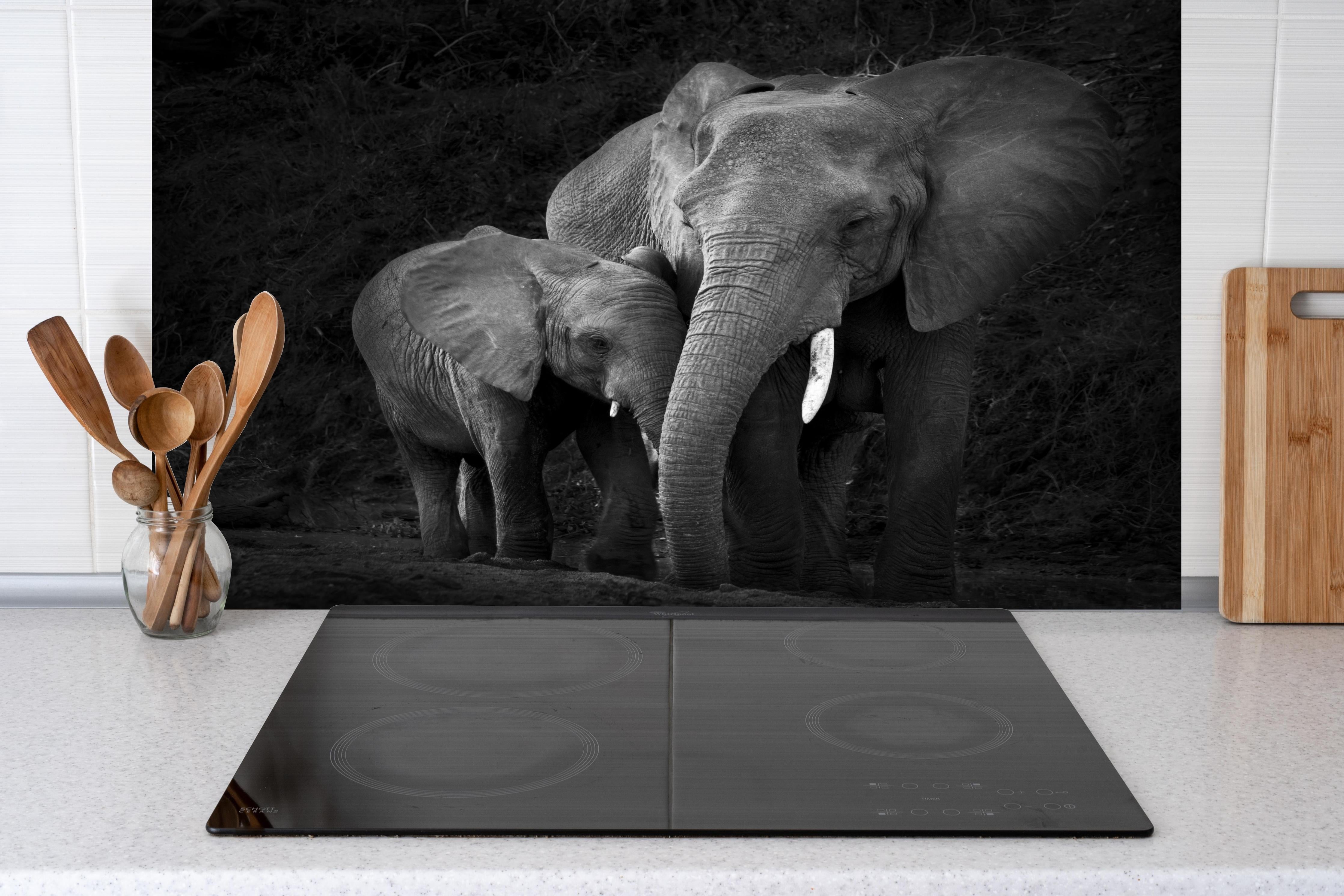 Spritzschutz - Elefanten in der Natur - schwarz-weiß hinter einem Cerankochfeld zwischen Holz-Kochutensilien
